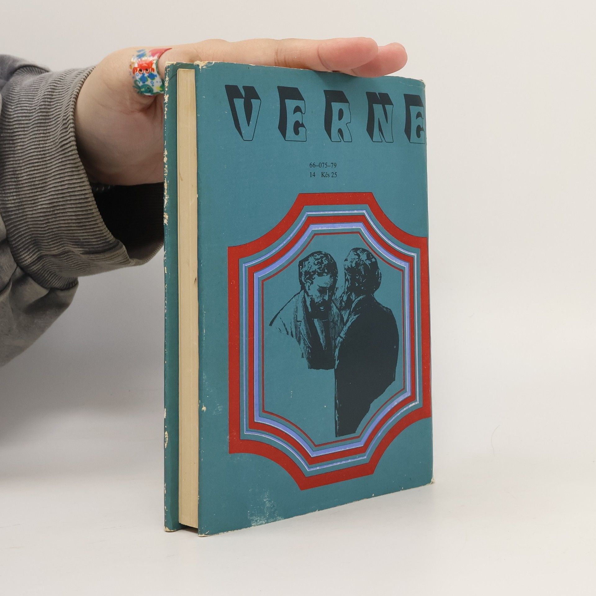 Jules Verne Bratia Kipovci