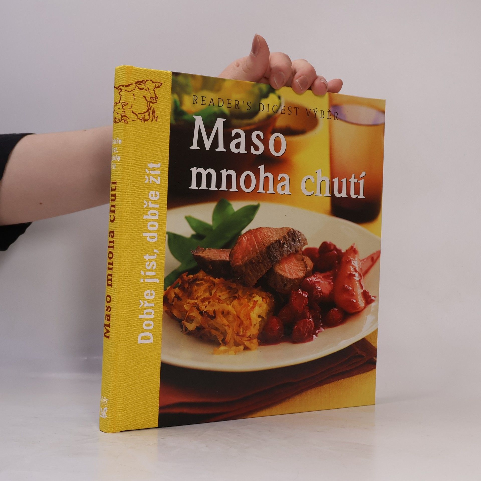 Autorenkollektiv Maso mnoha chutí