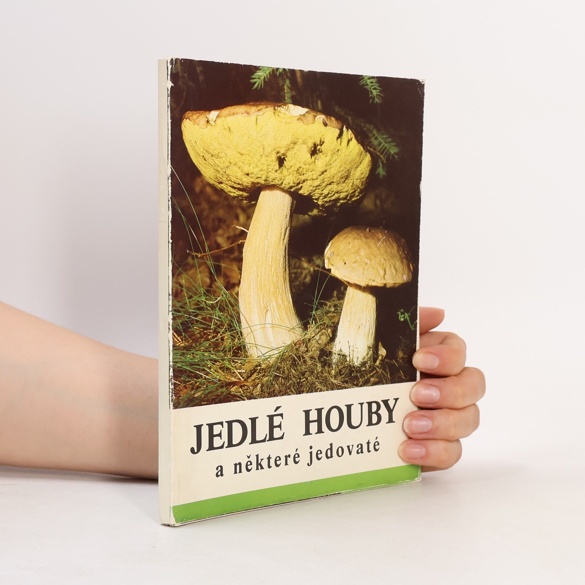 Jedlé houby a některé jedovaté