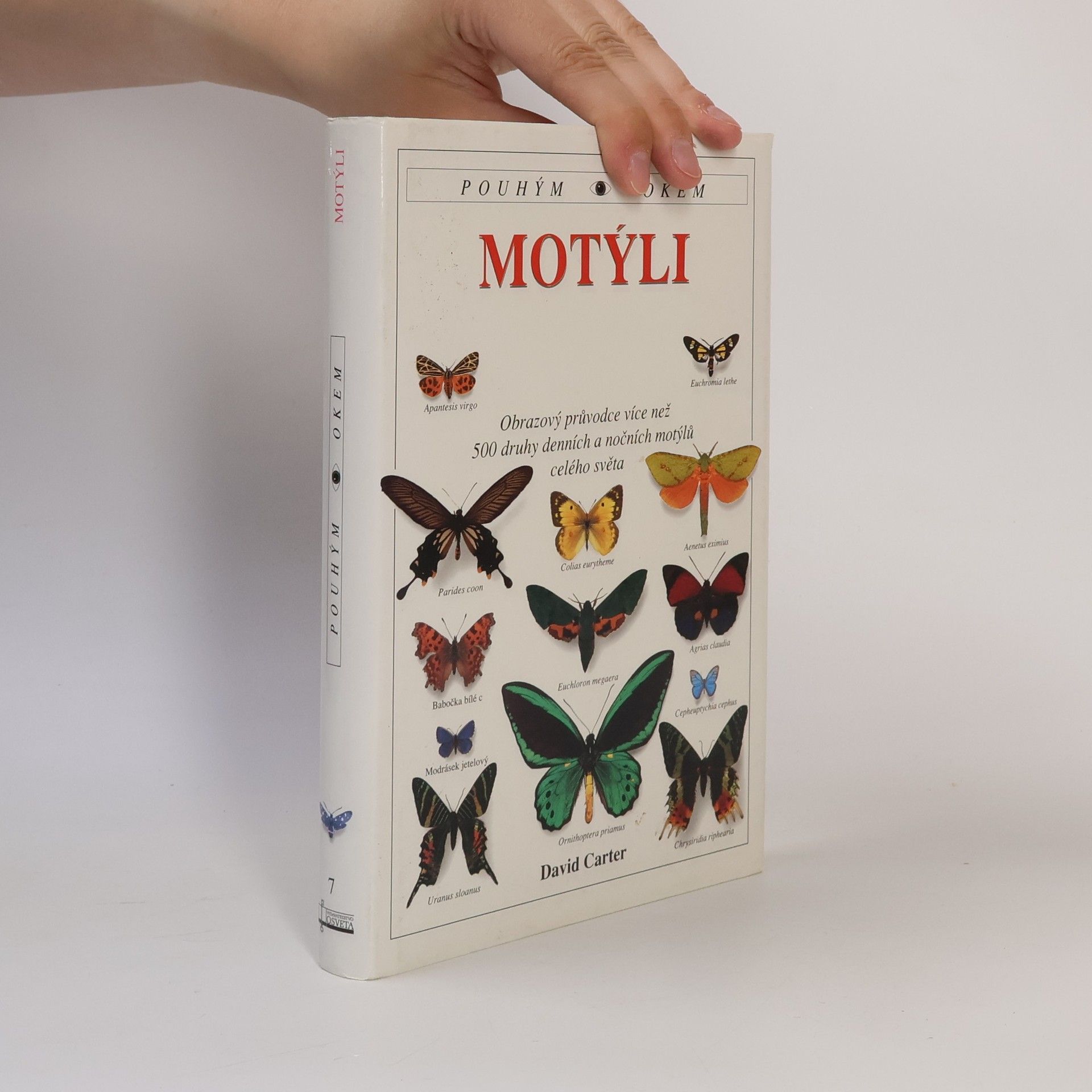 Motýli : obrazový průvodce více než 500 druhy denních a nočních motýlů celého světa