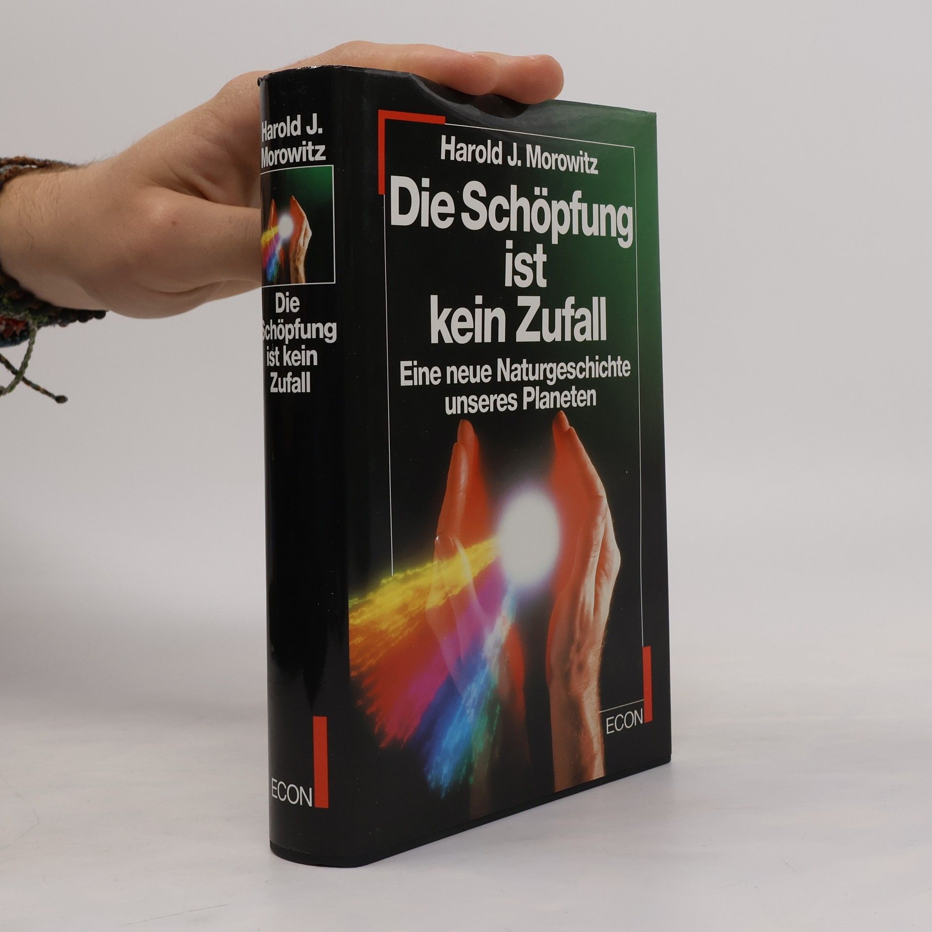 Die Schöpfung ist kein Zufall