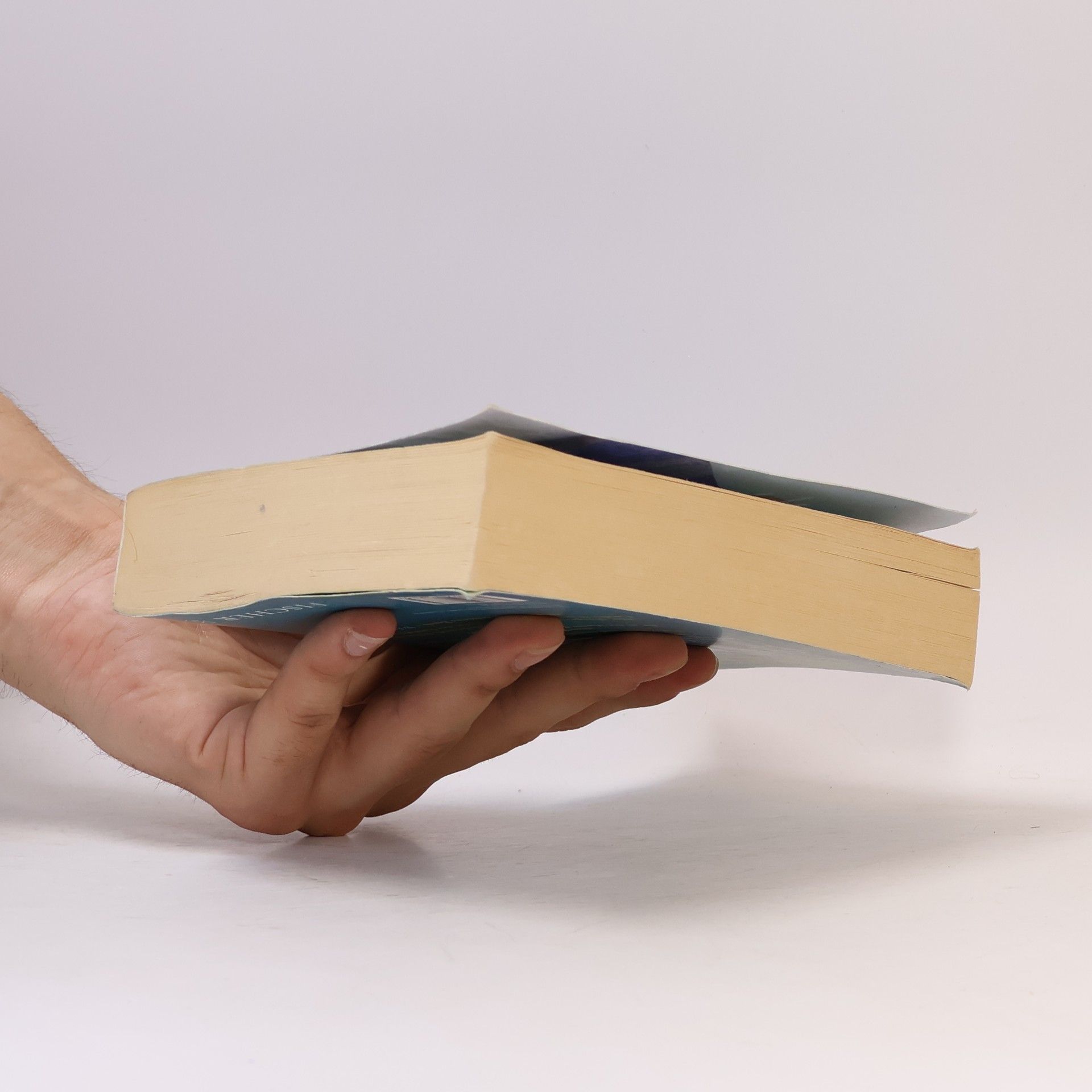 Cecelia Ahern Hundert Namen