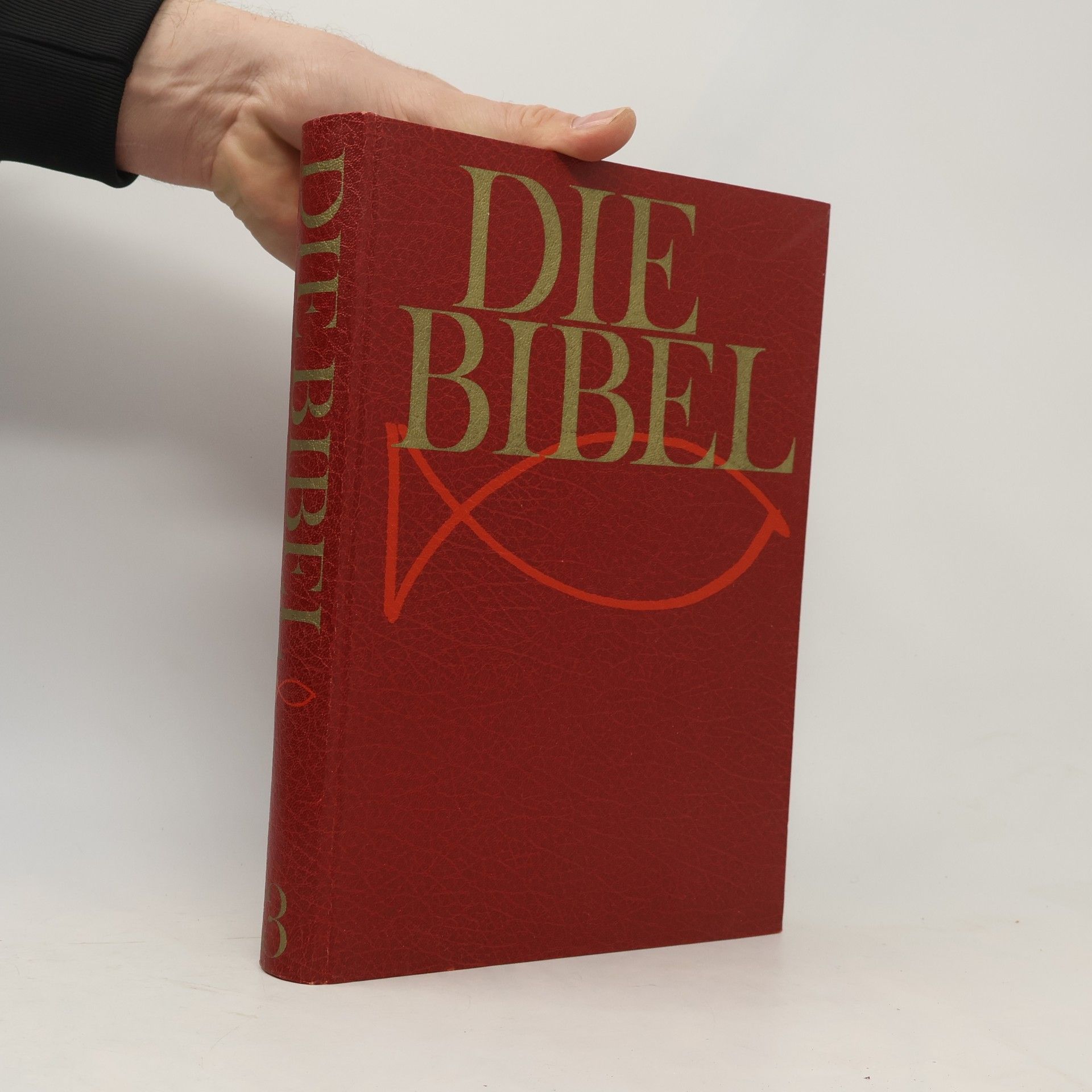 AA.VV. Die Bibel 3