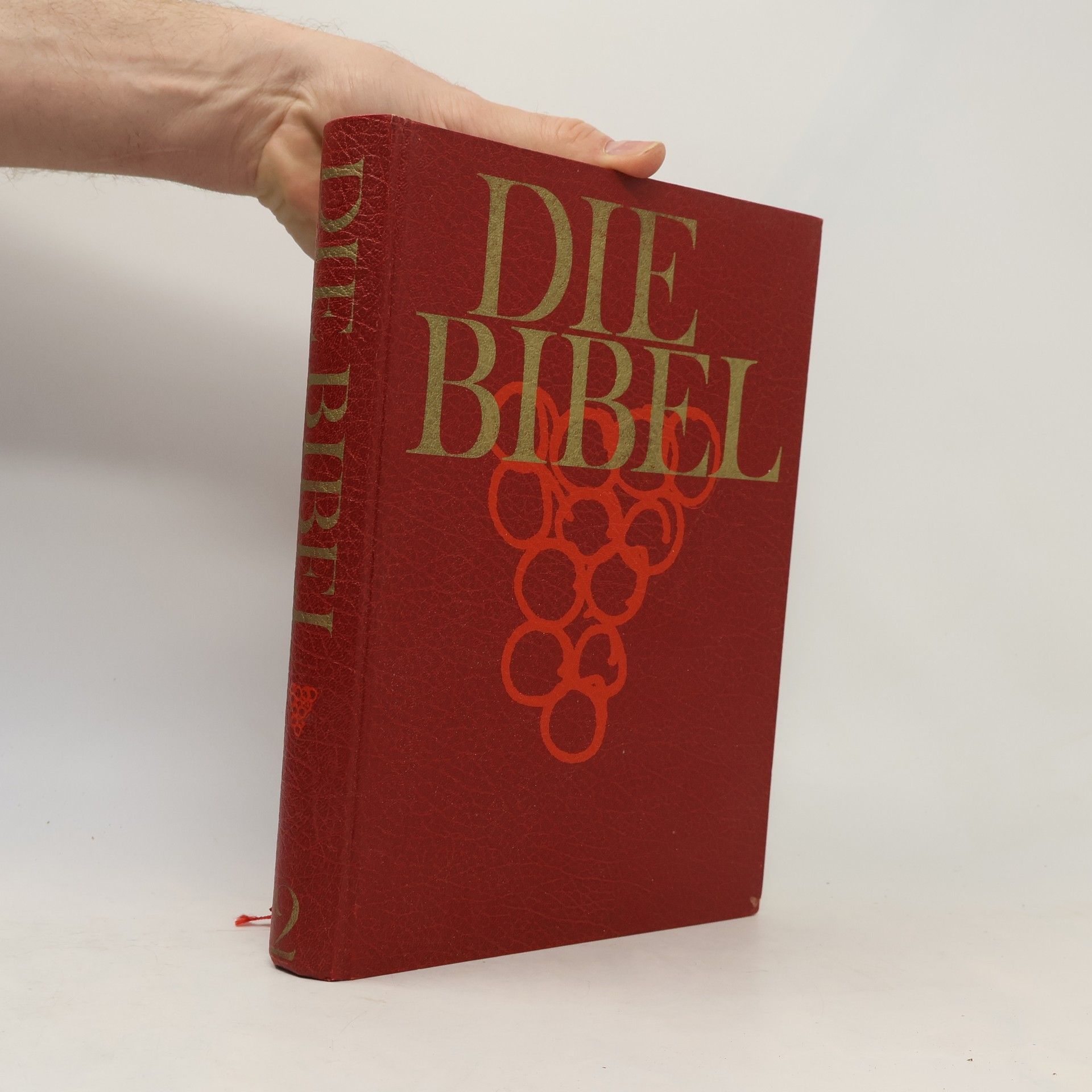 Mirjam Prager Die Bibel