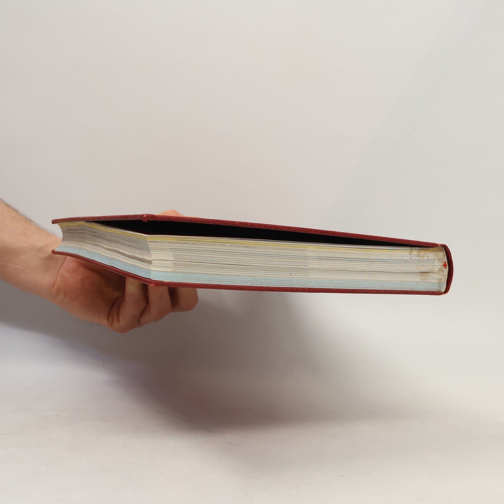 Autorenkollektiv Die Bibel 1