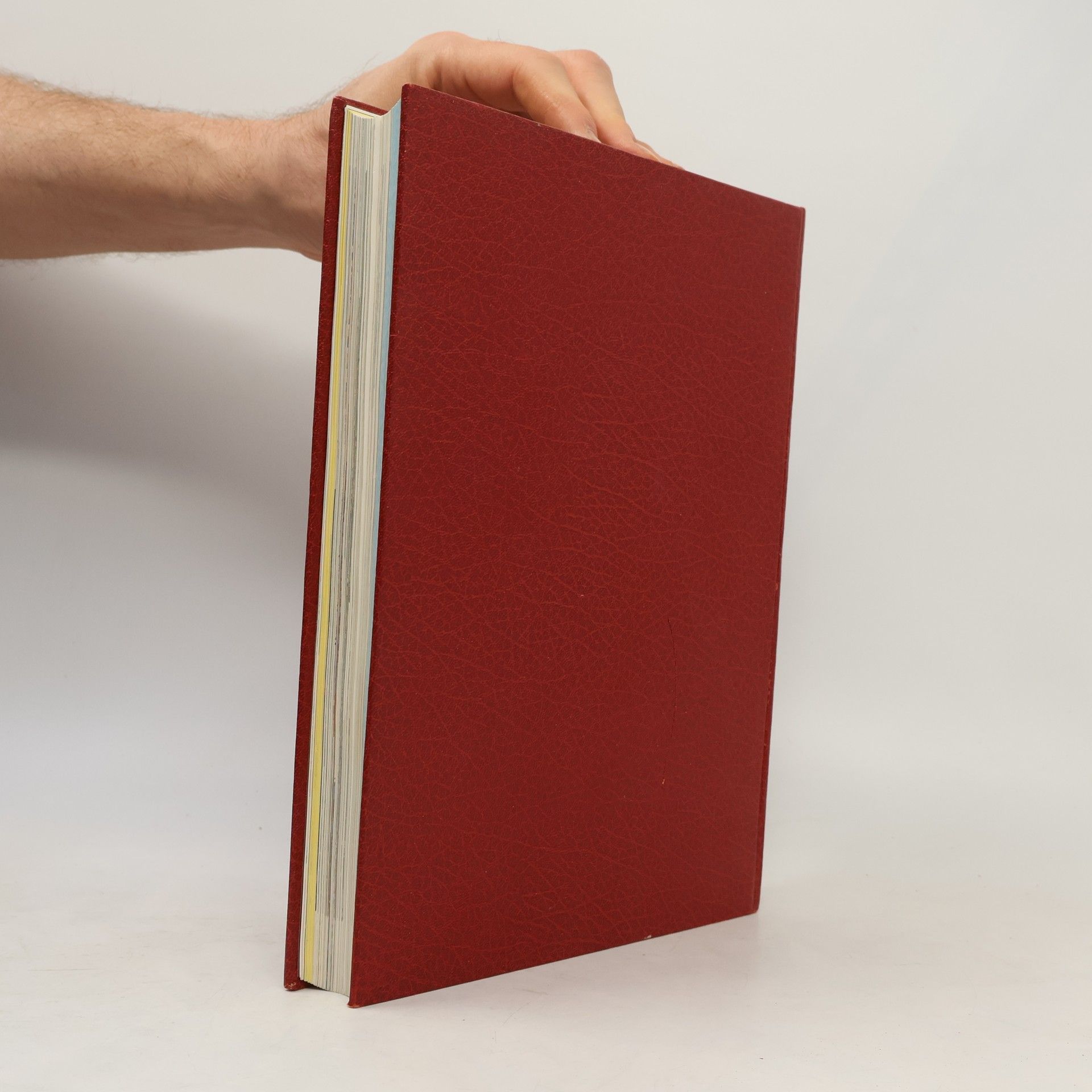 Autorenkollektiv Die Bibel 1