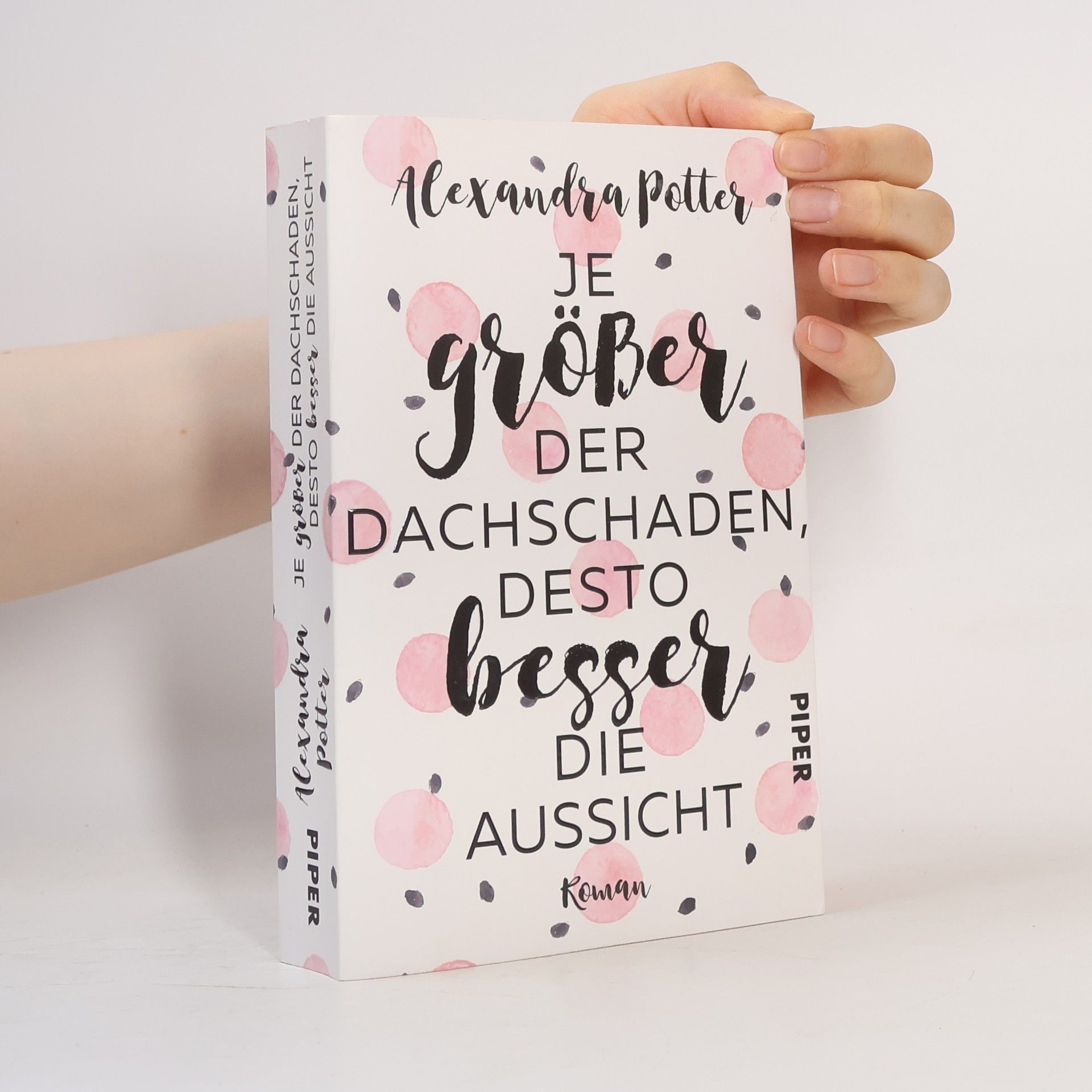 Alexandra Potter Je größer der Dachschaden, desto besser die Aussicht