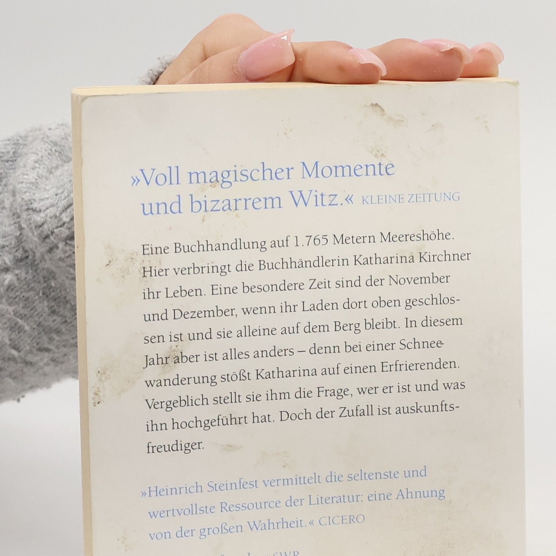 Heinrich Steinfest Der betrunkene Berg