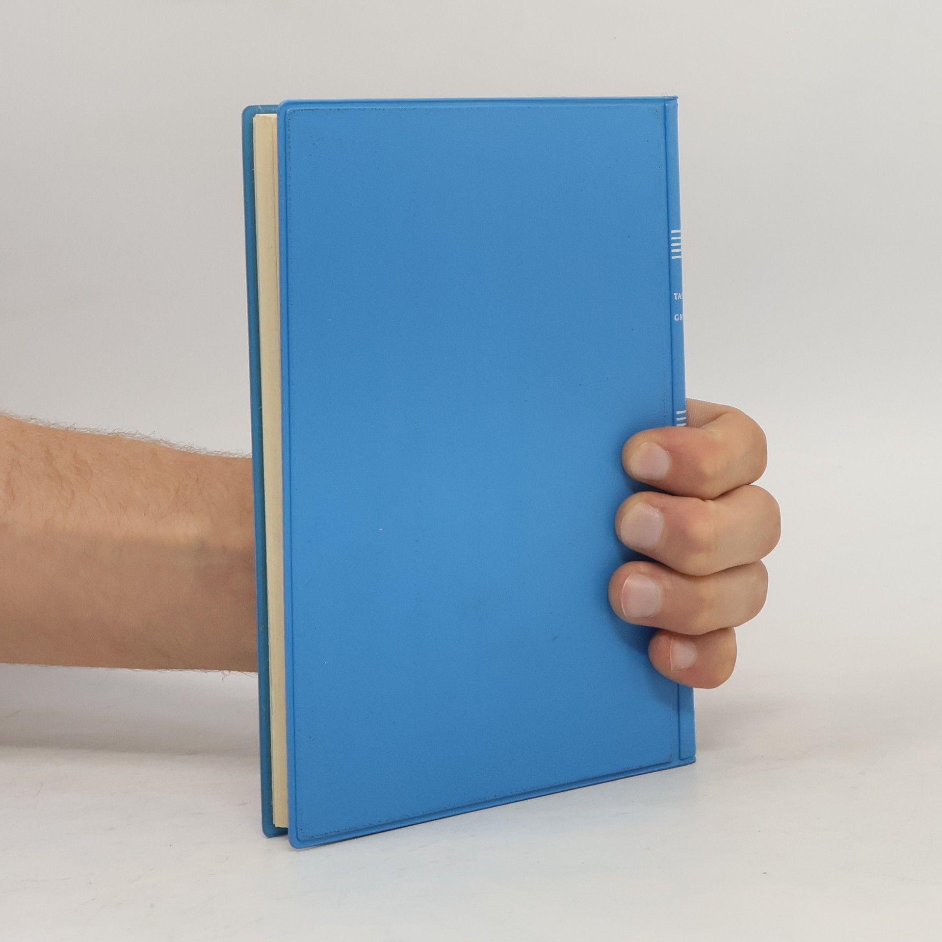 Taschenbuch mathematisches Grundwissen