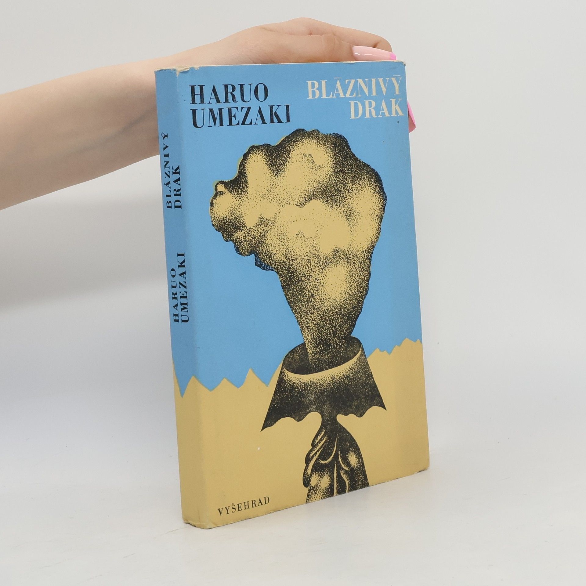 Eva Bednářová Bláznivý drak