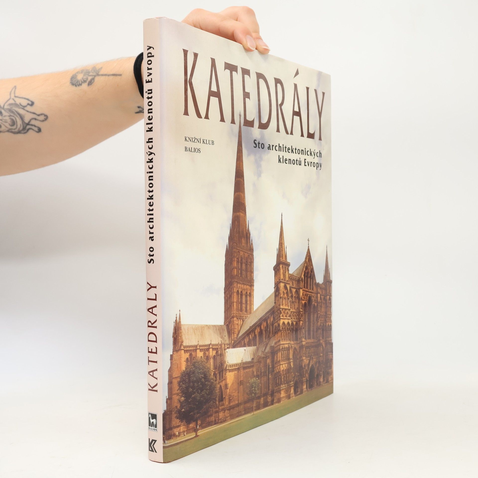Autorenkollektiv Katedrály : sto architektonických klenotů Evropy
