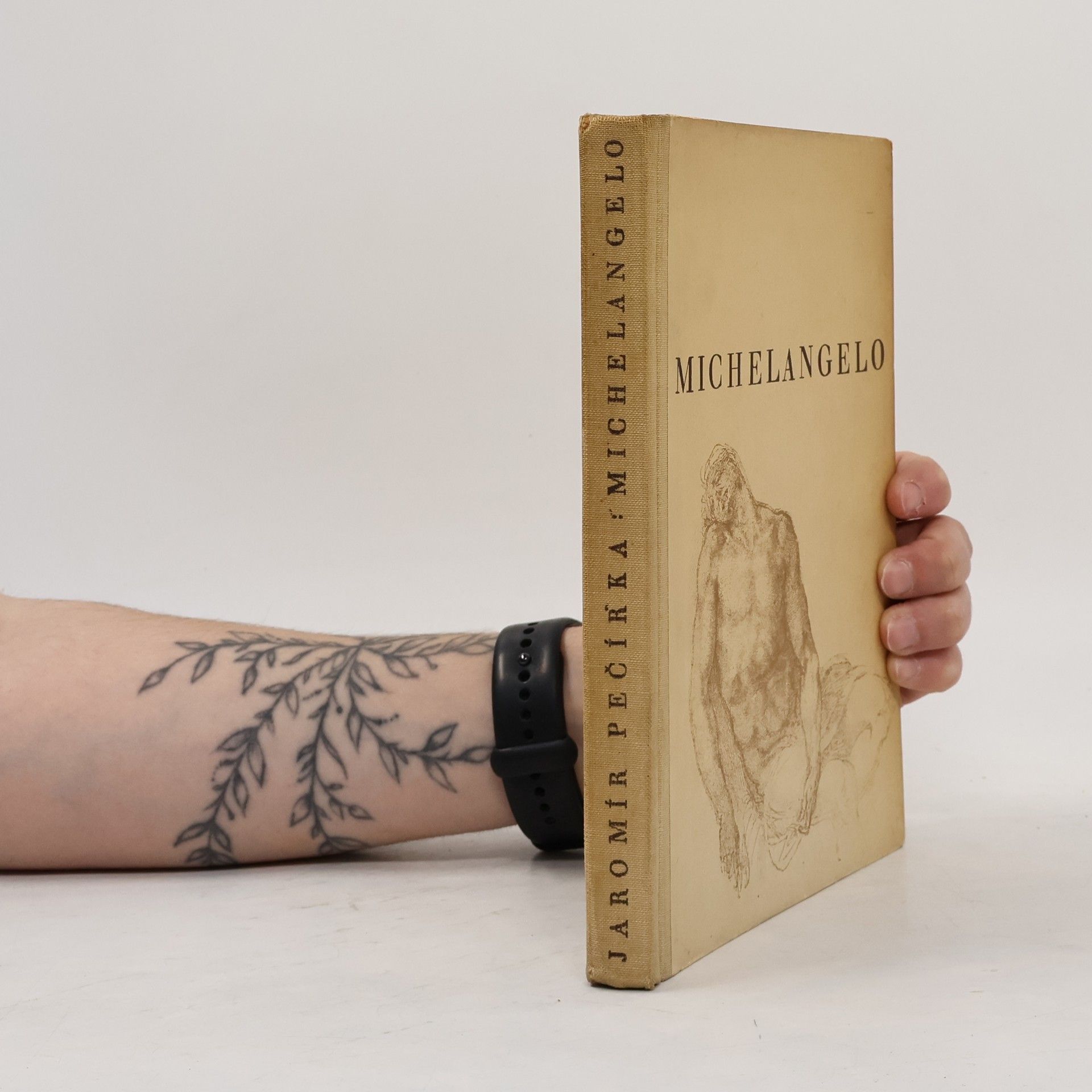 Michelangelo Buonarroti