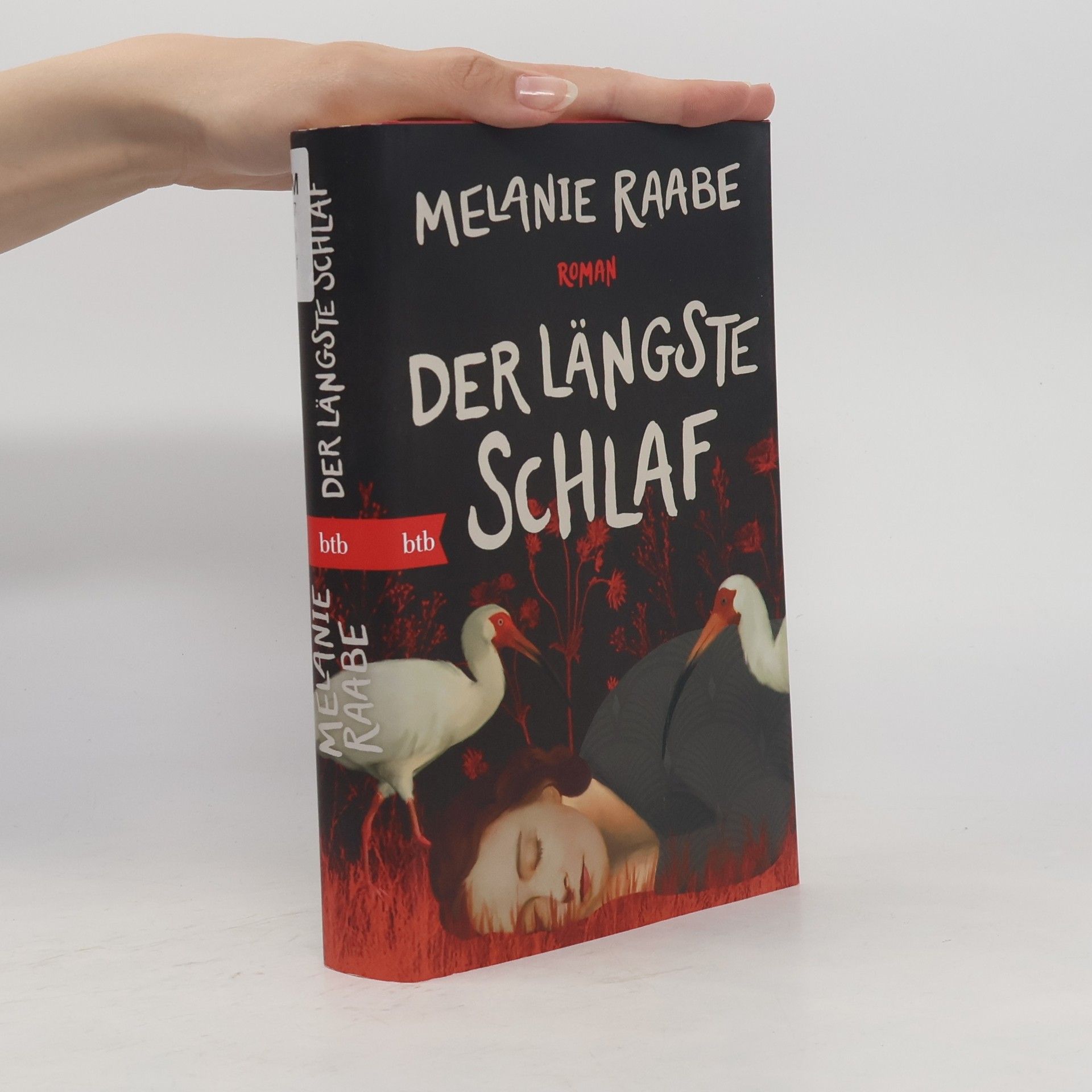 Melanie Raabe Der längste Schlaf. Roman