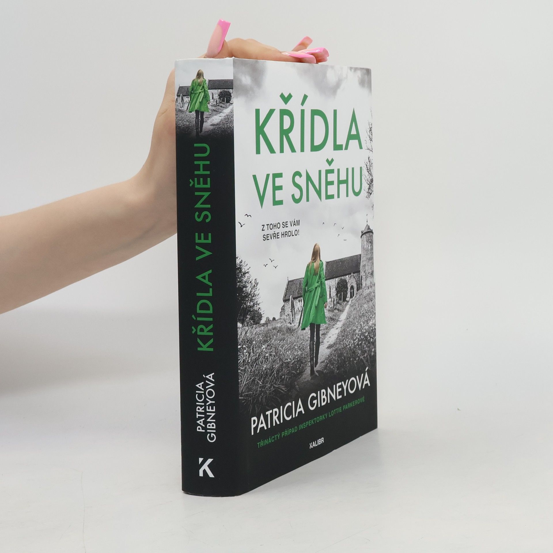 Patricia Gibney Křídla ve sněhu
