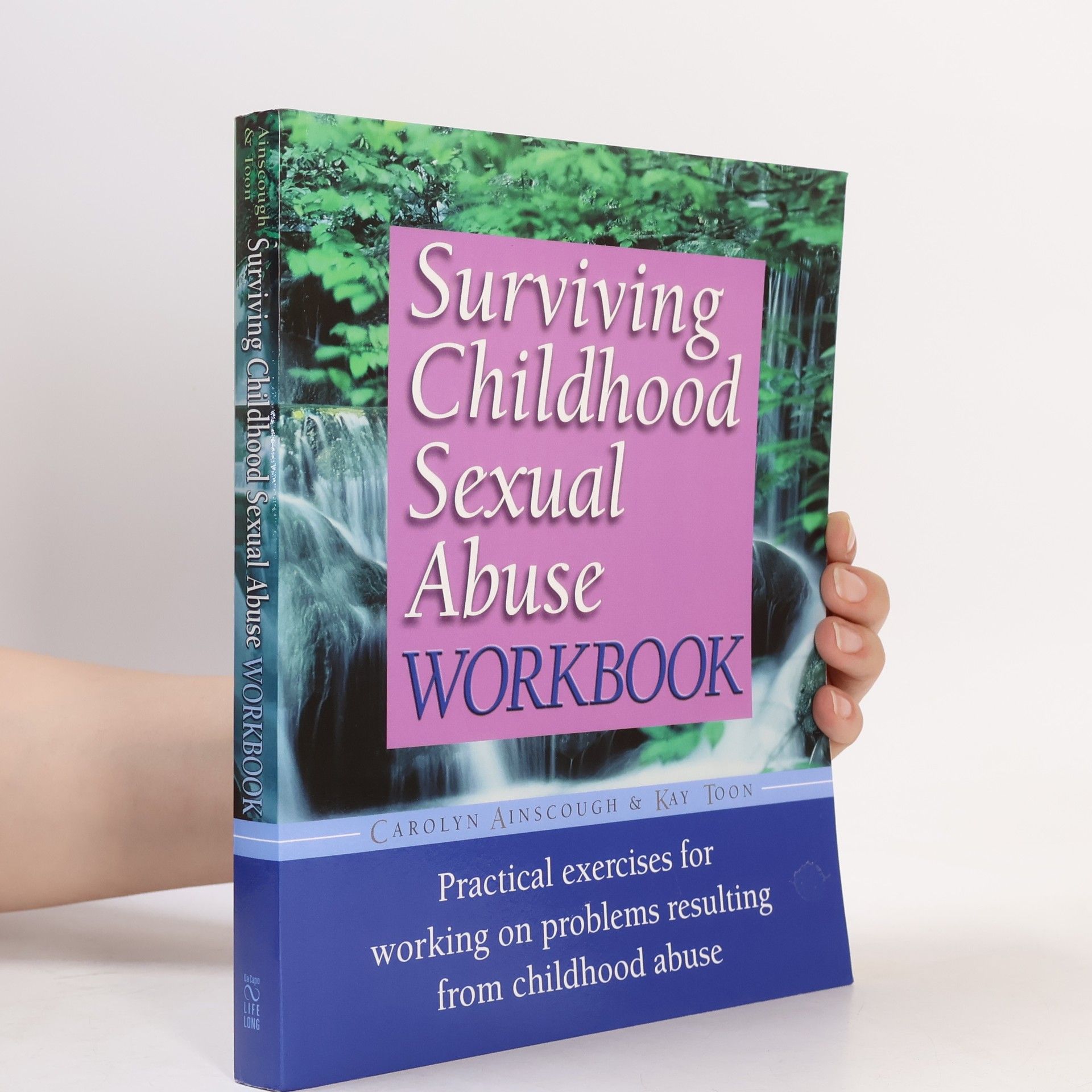 Kay Toon Surviving Childhood Sexual Abuse Workbook