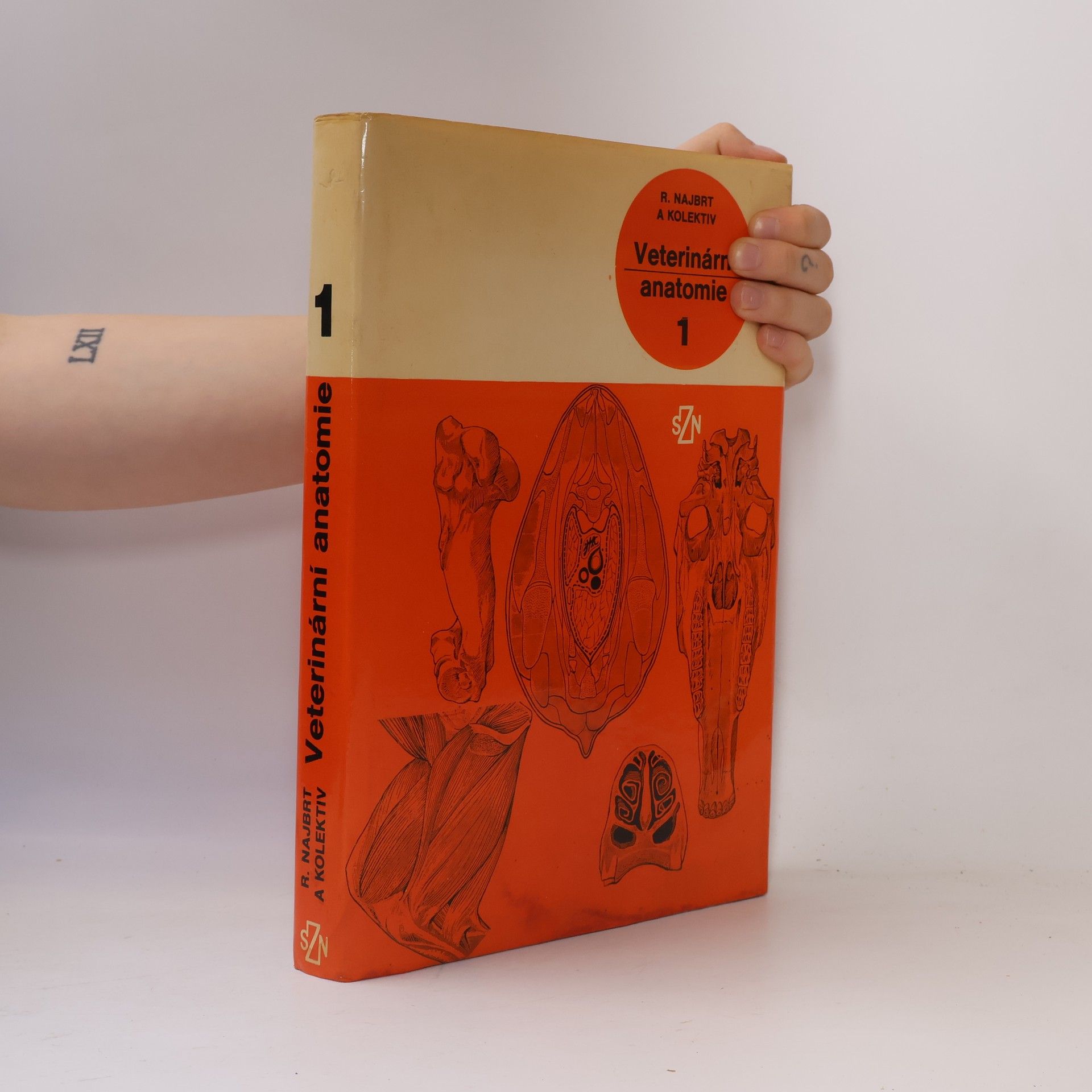 Kolektiv autorů Veterinární anatomie 1