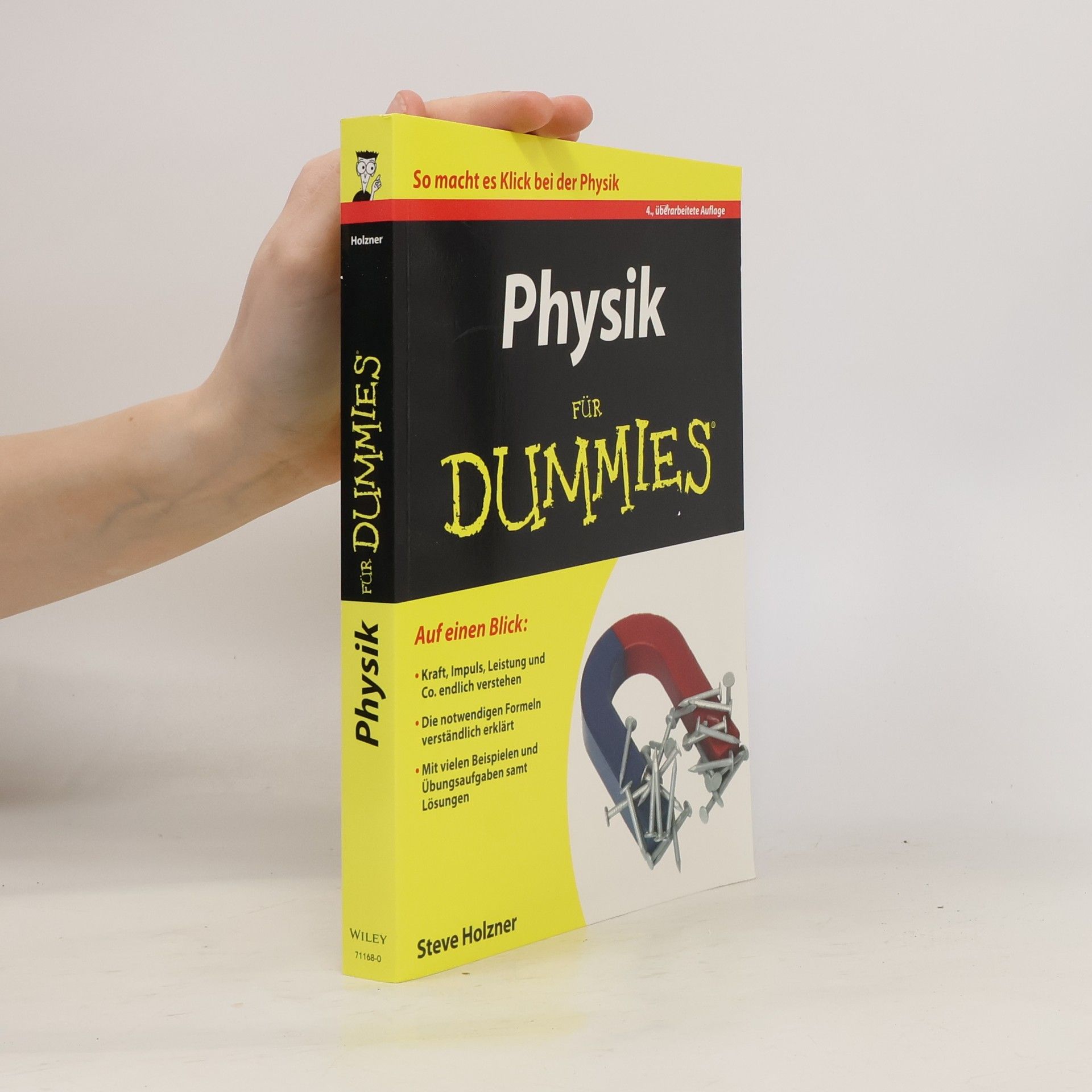 Steven Holzner Physik für Dummies
