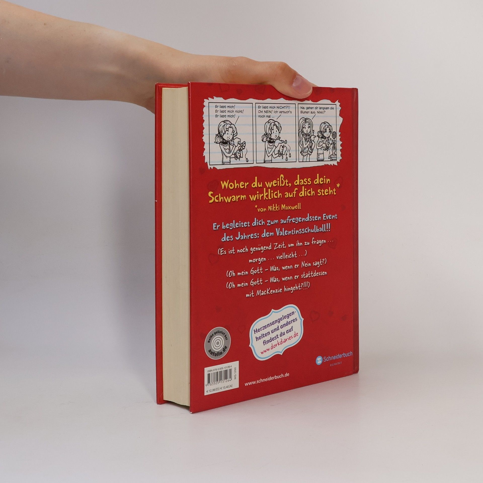 Ann Lecker Dork diaries. Nikkis perfektes erstes Date.