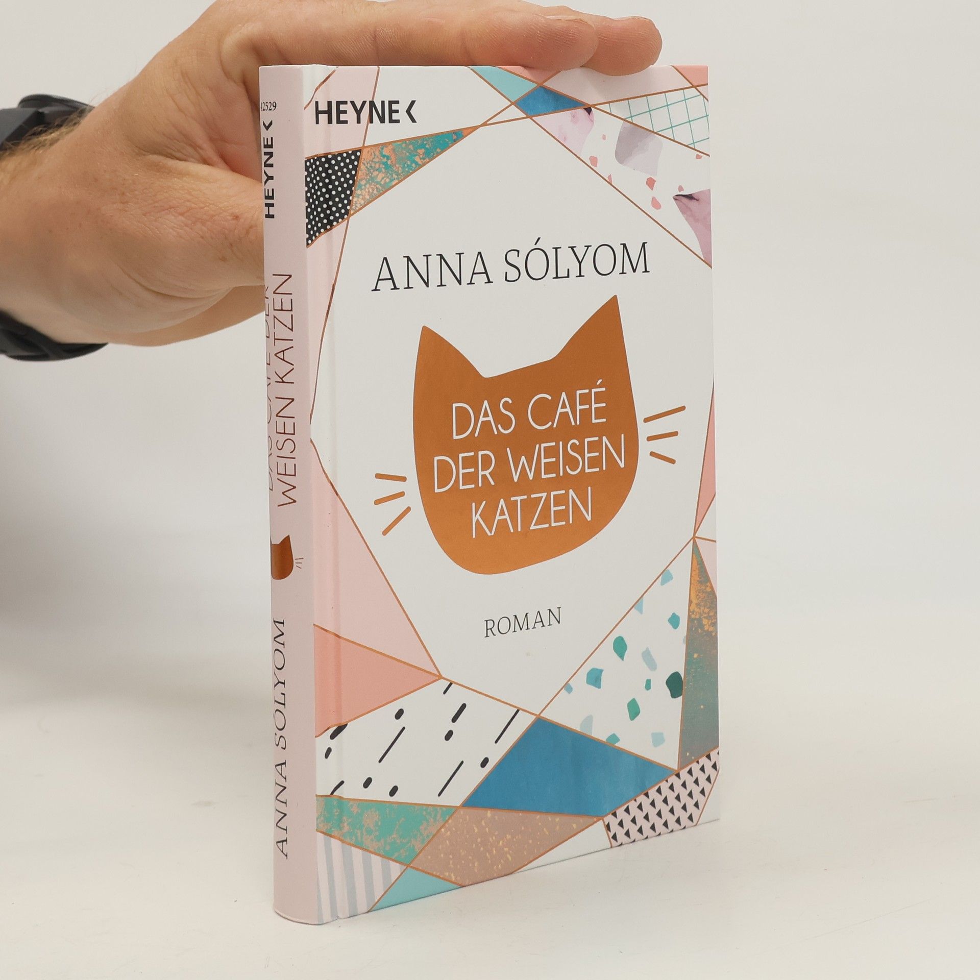 Anna Sólyom Das Café der weisen Katzen