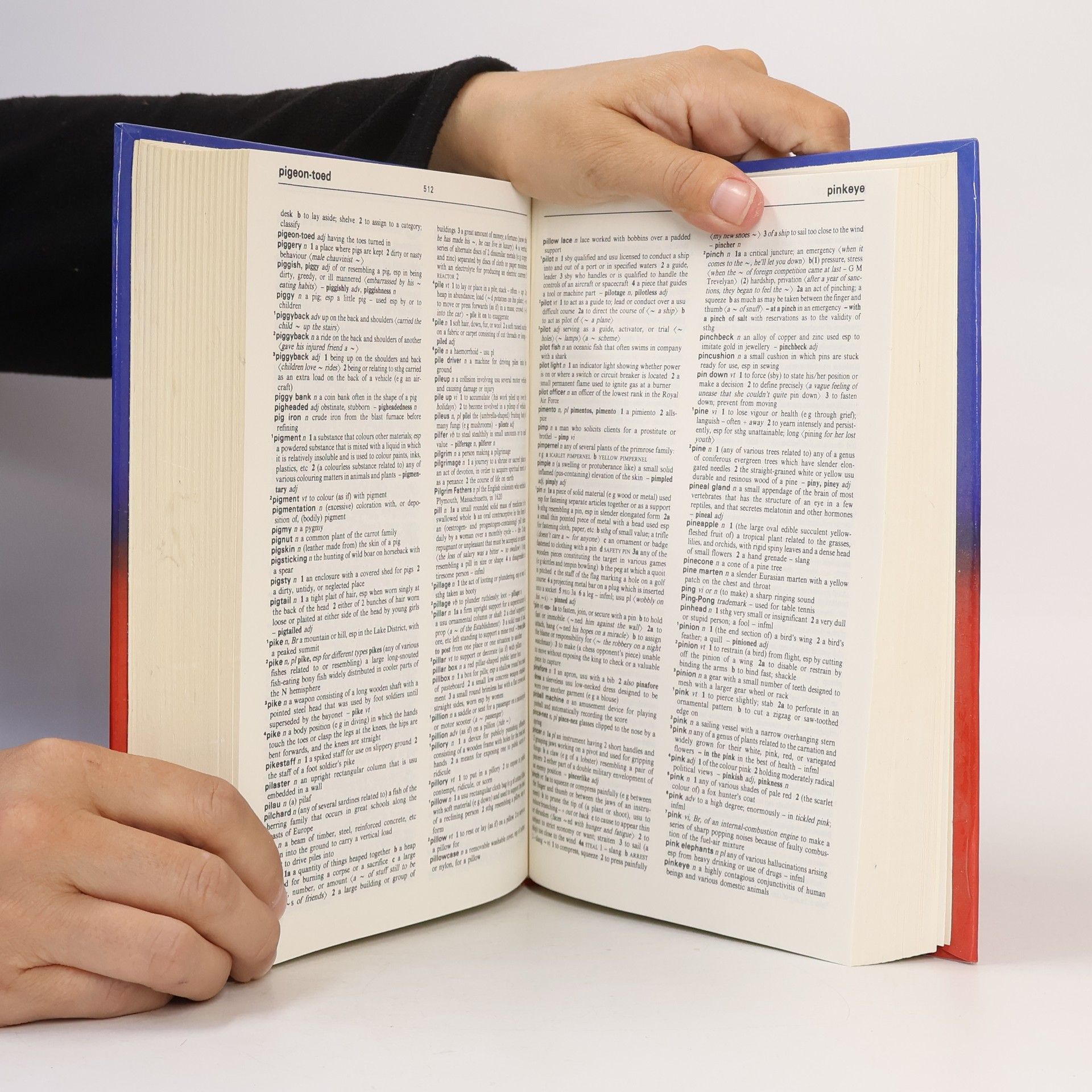 AA.VV. Longman Family Dictionary