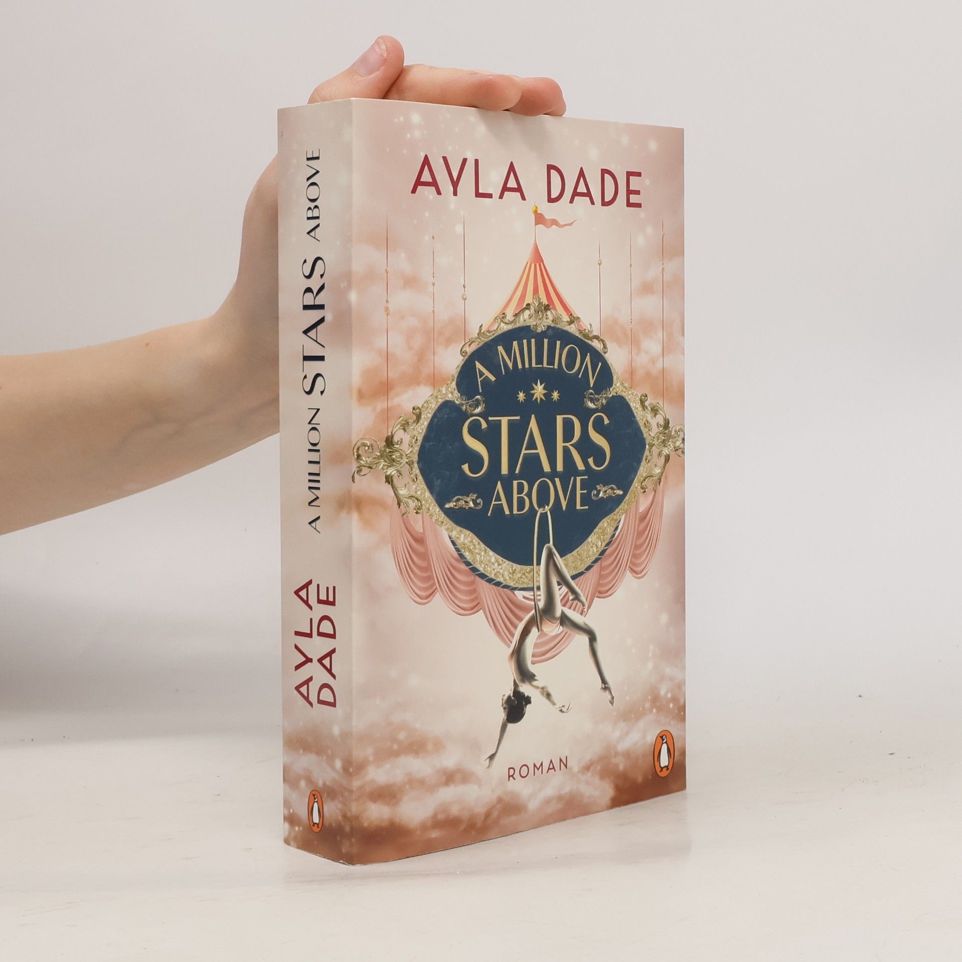 Ayla Dade A Million Stars Above / Sky Circus Bd.1