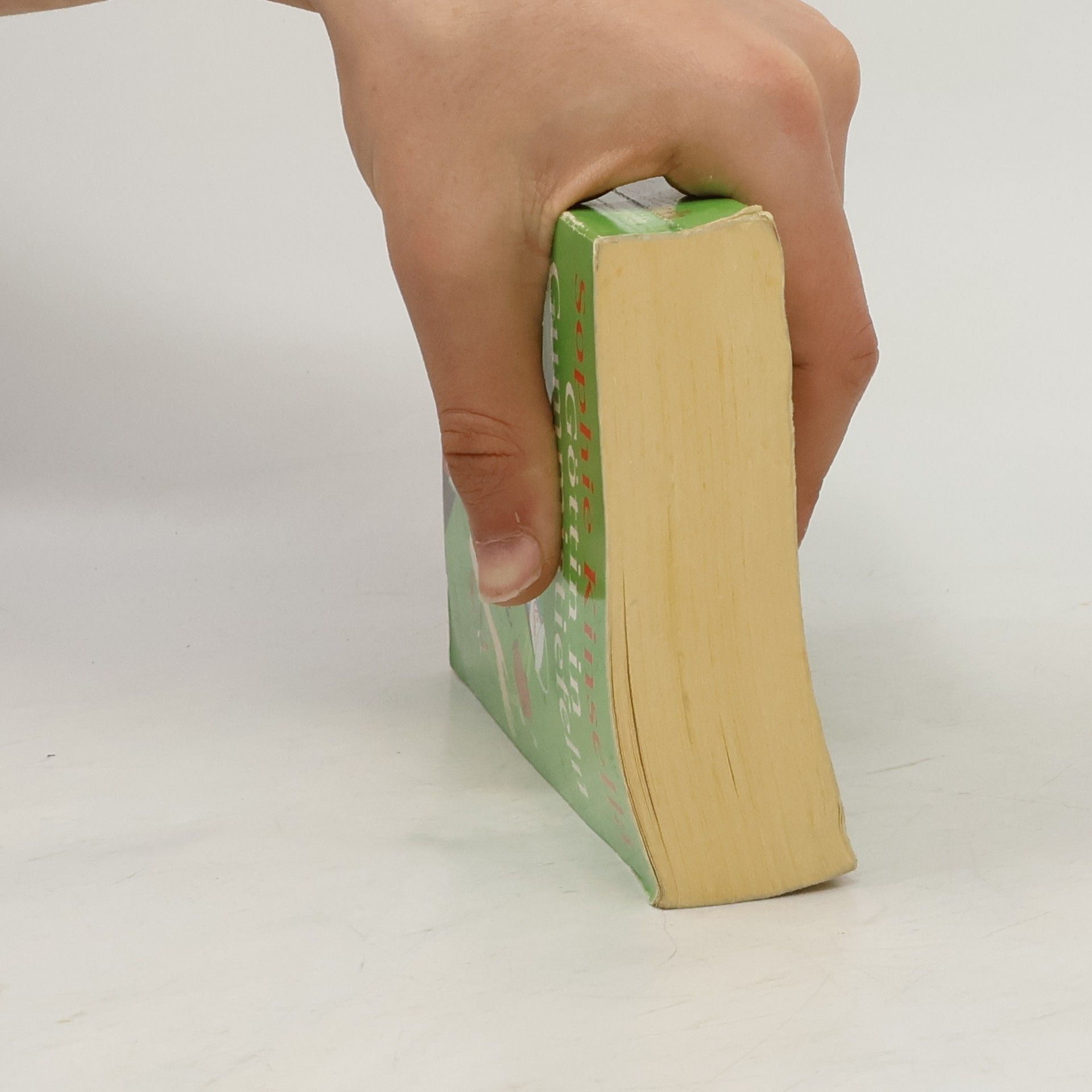 Sophie Kinsella Göttin in Gummistiefeln