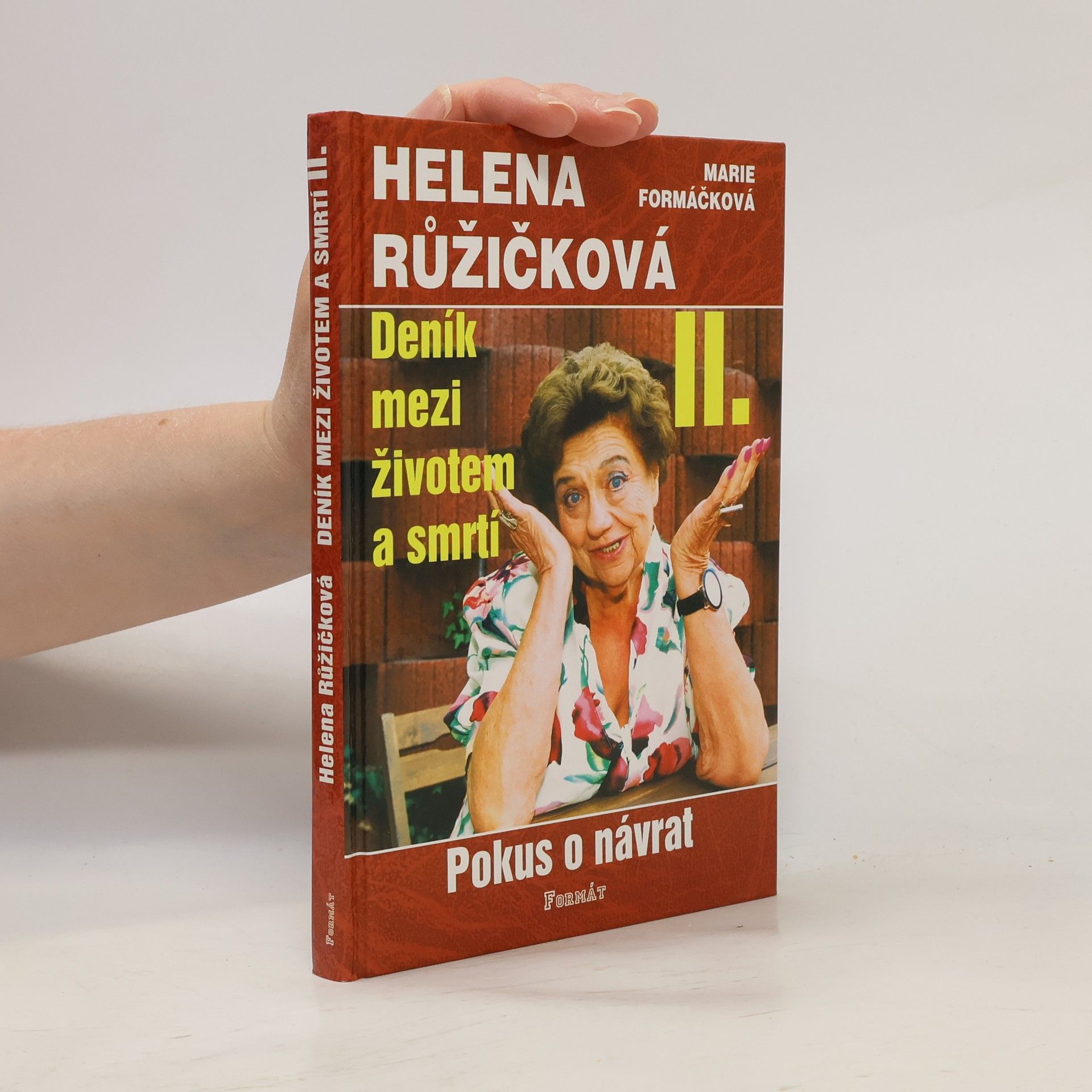 Helena Růžičková Deník mezi životem a smrtí. II., Pokus o návrat
