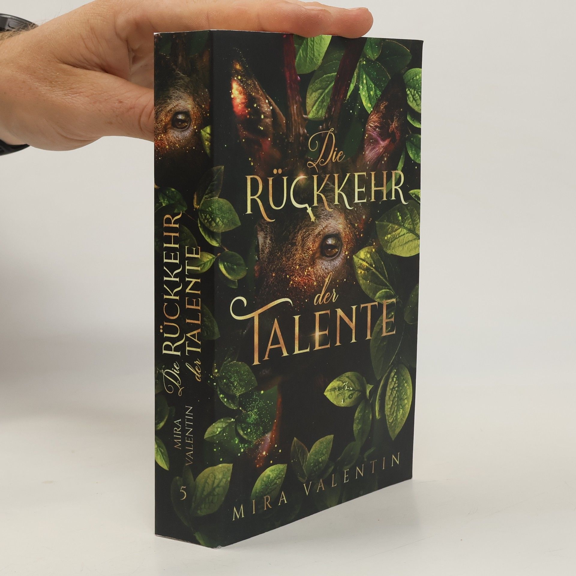 Mira Valentin Die Rückkehr der Talente