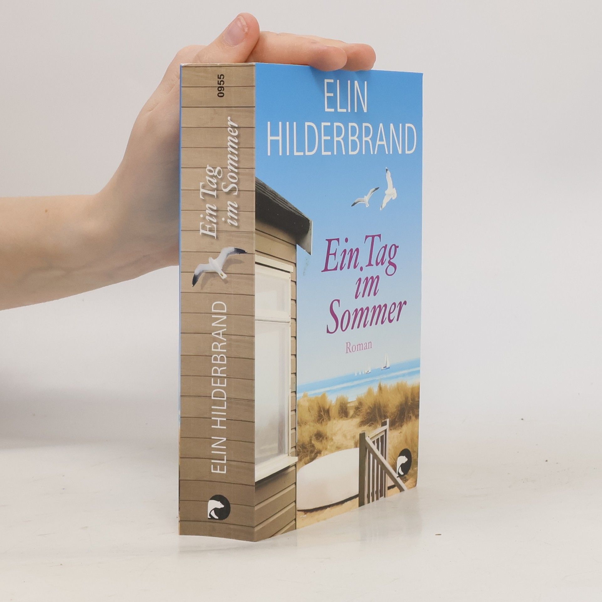 Elin Hilderbrand Ein Tag im Sommer