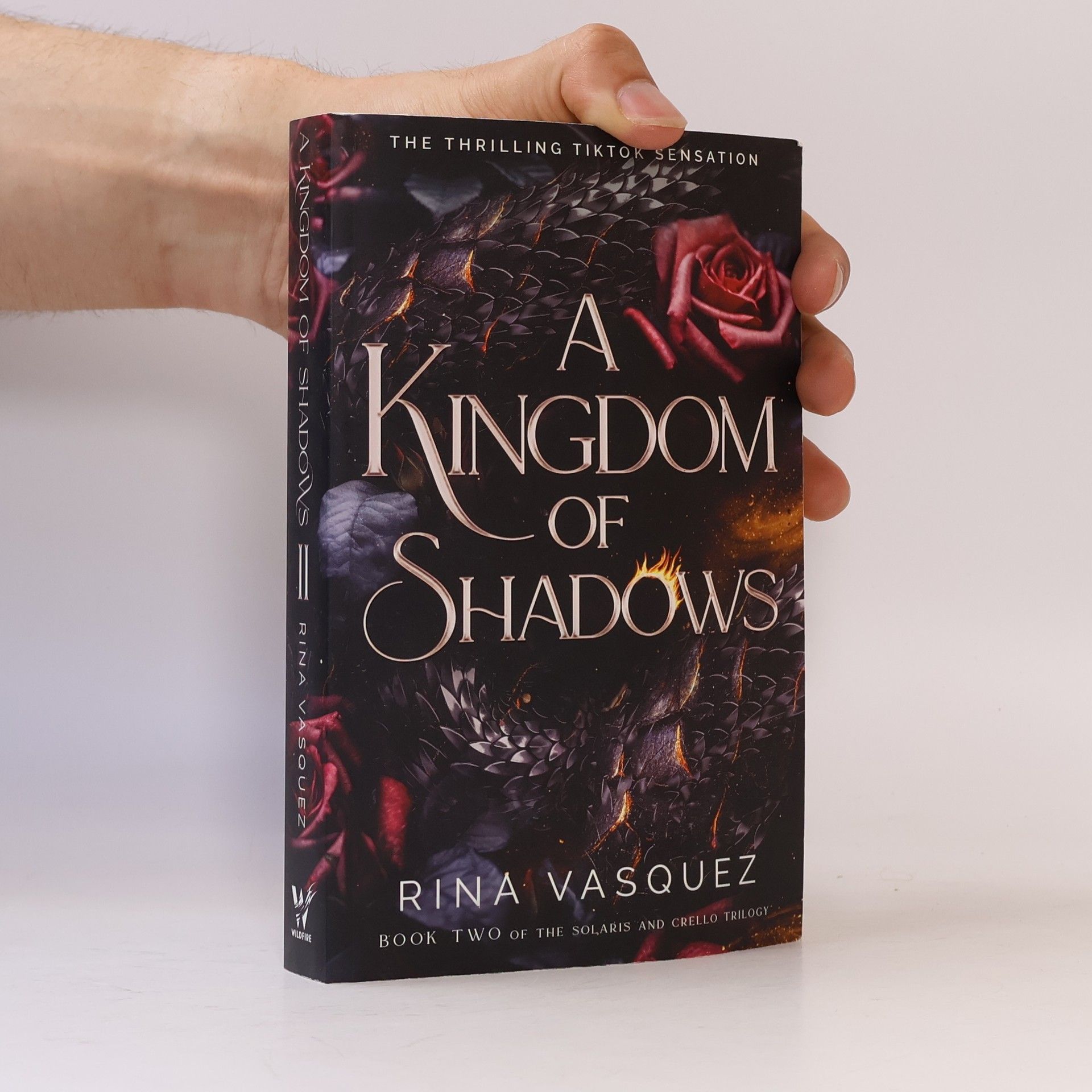 Rina Vasquez A Kingdom of Shadows