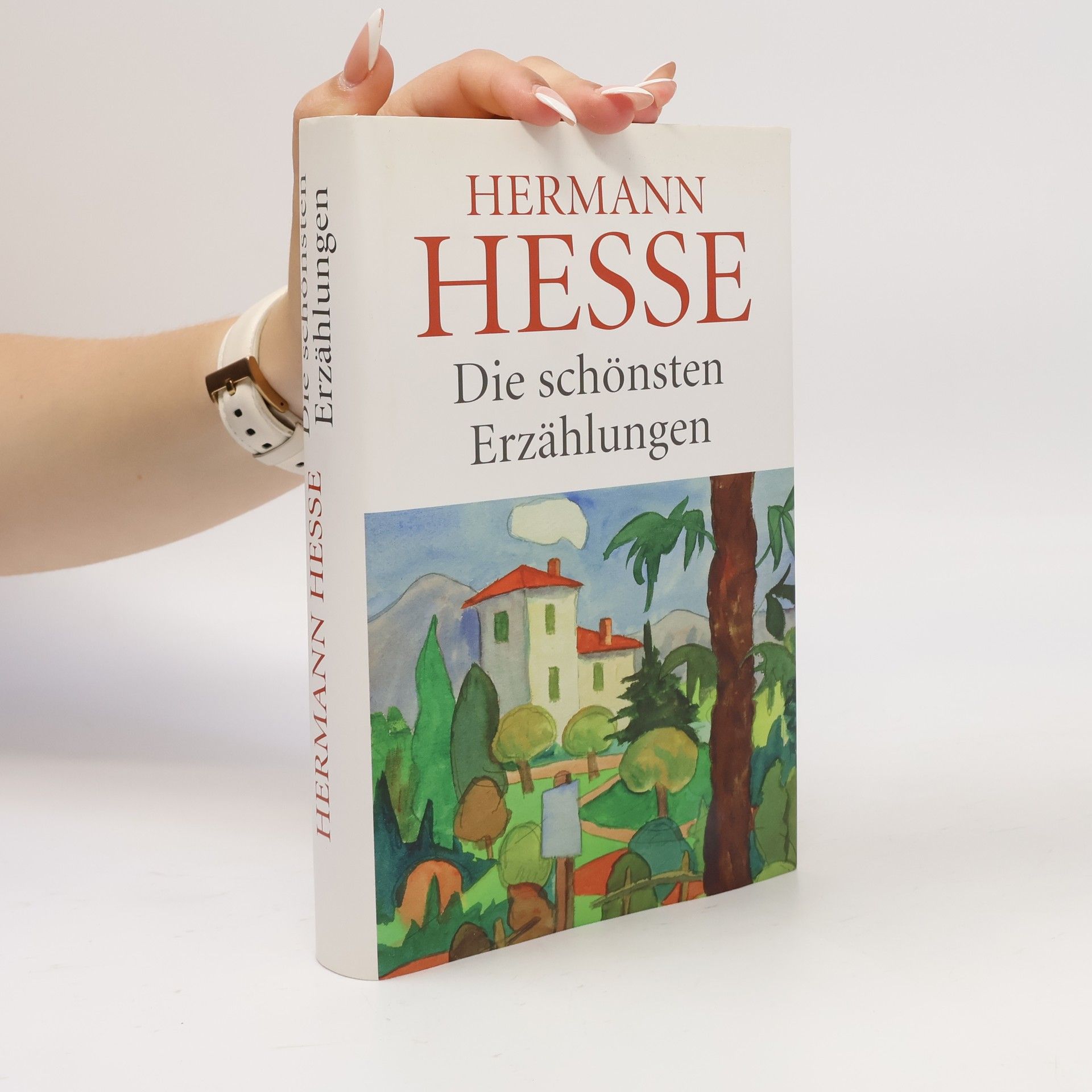 Hermann Hesse Die schönsten Erzählungen