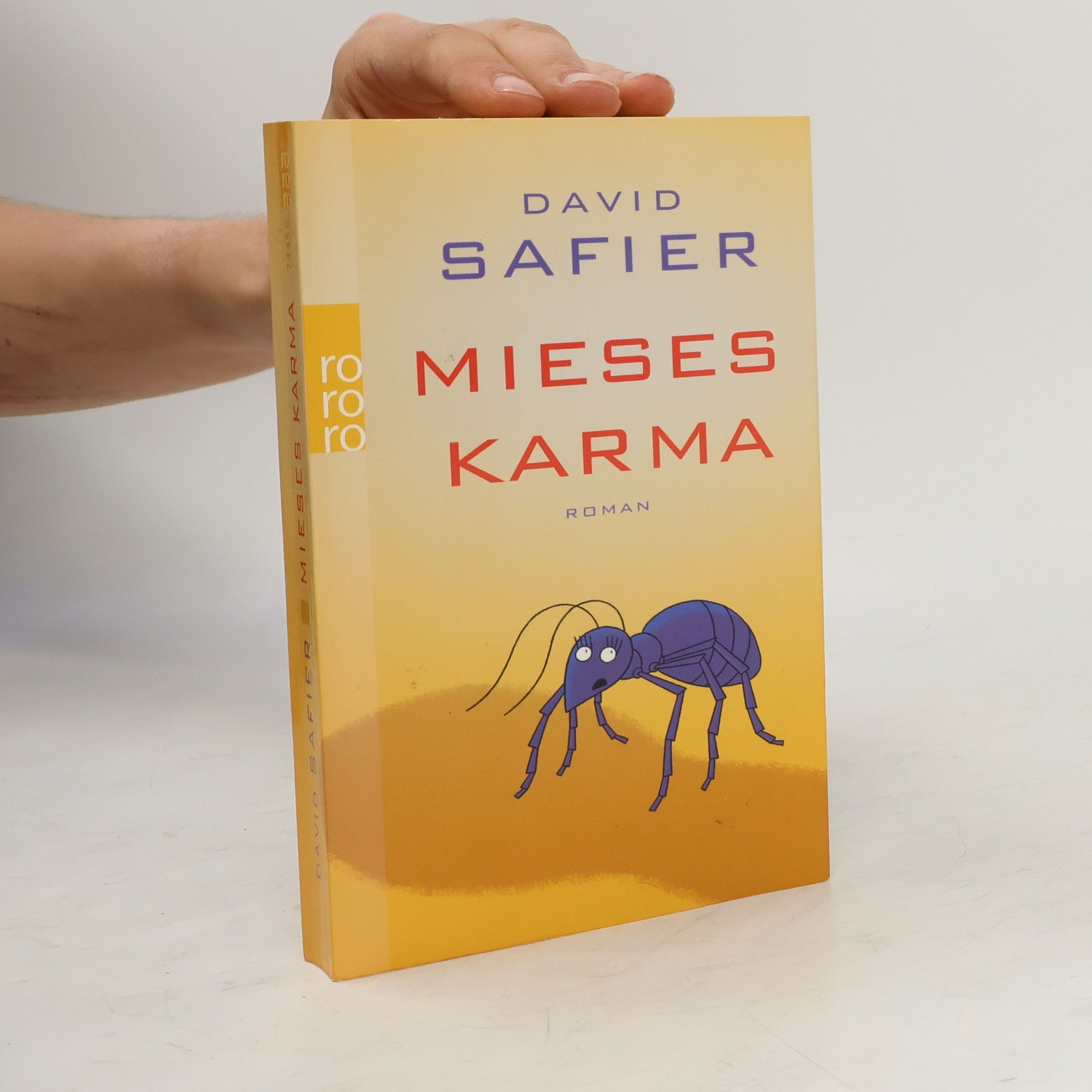 David Safier Mieses Karma