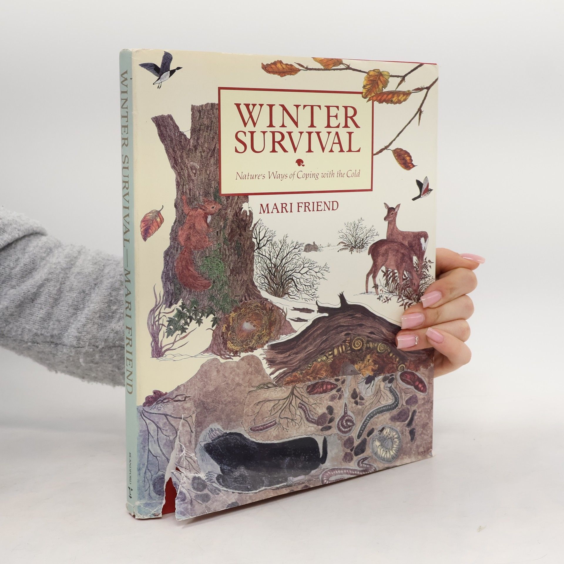 Mari Friend Winter Survival