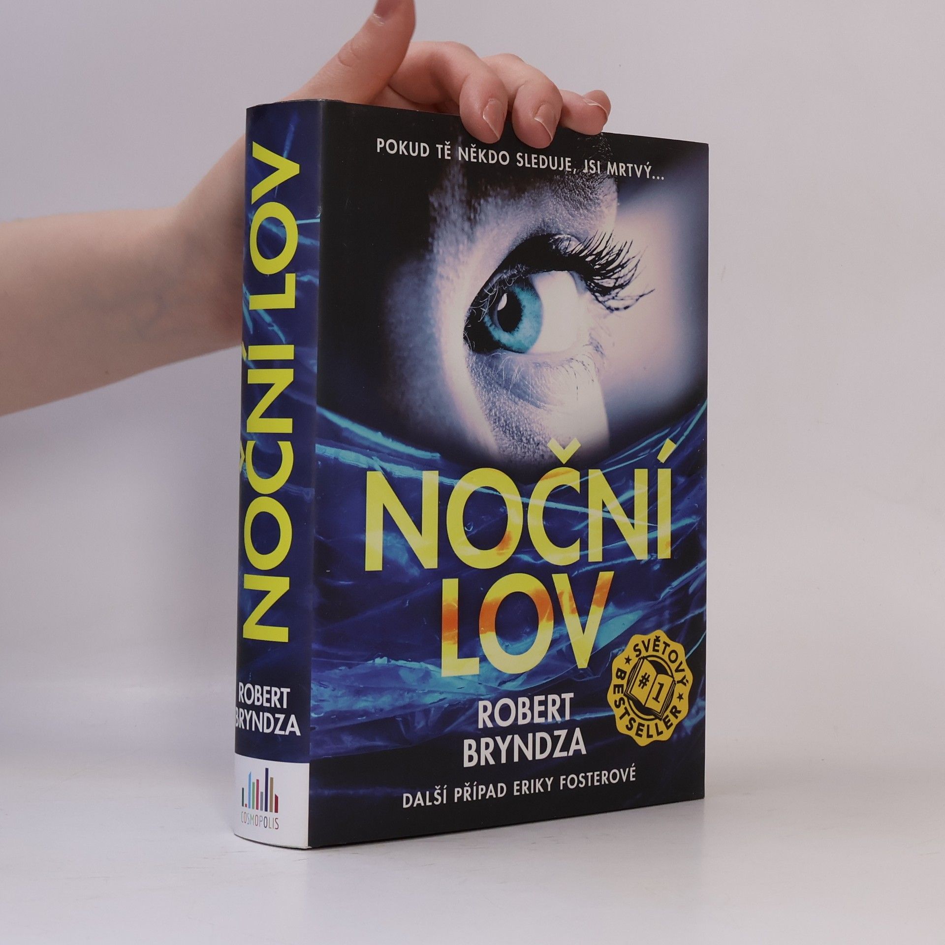 Robert Bryndza Noční lov