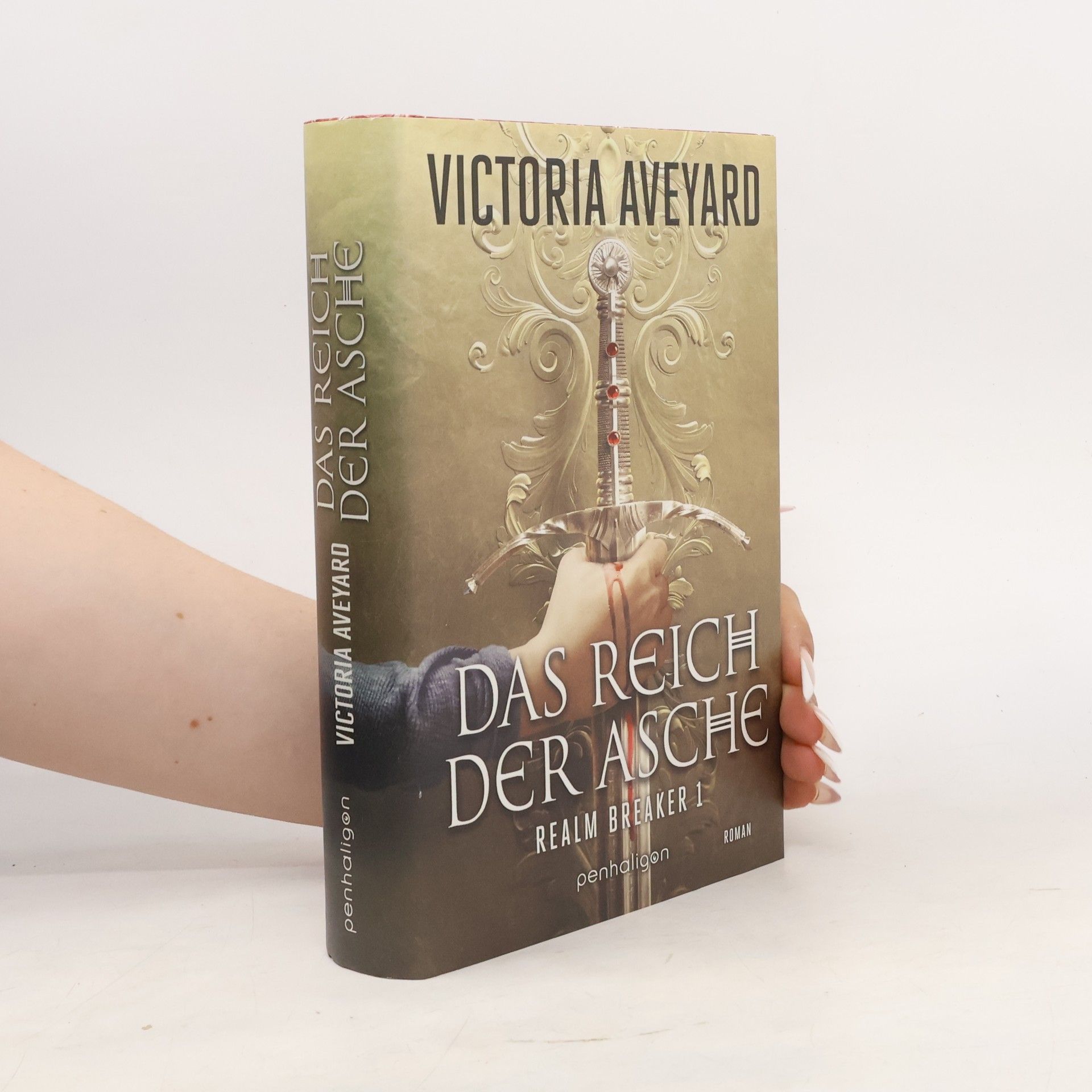 Victoria Aveyard Das Reich der Asche - Realm Breaker 1