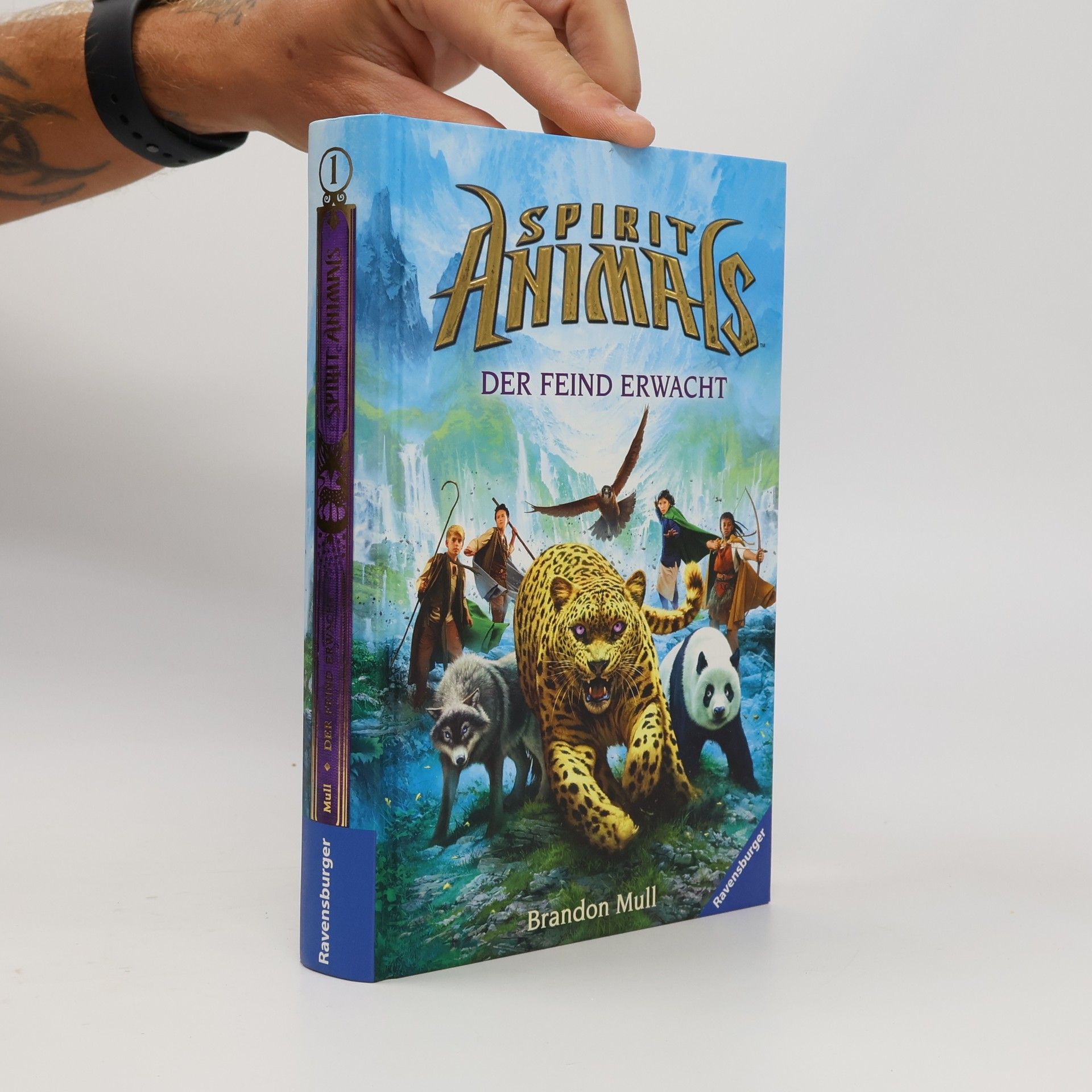 Brandon Mull Spirit Animals 1