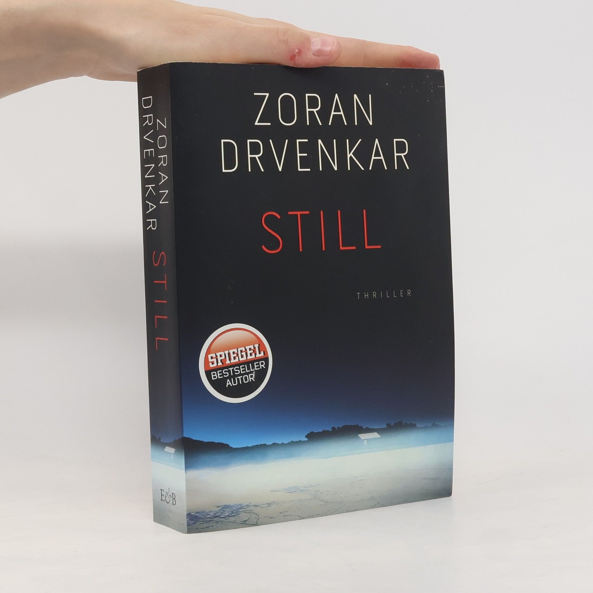 Zoran Drvenkar Still