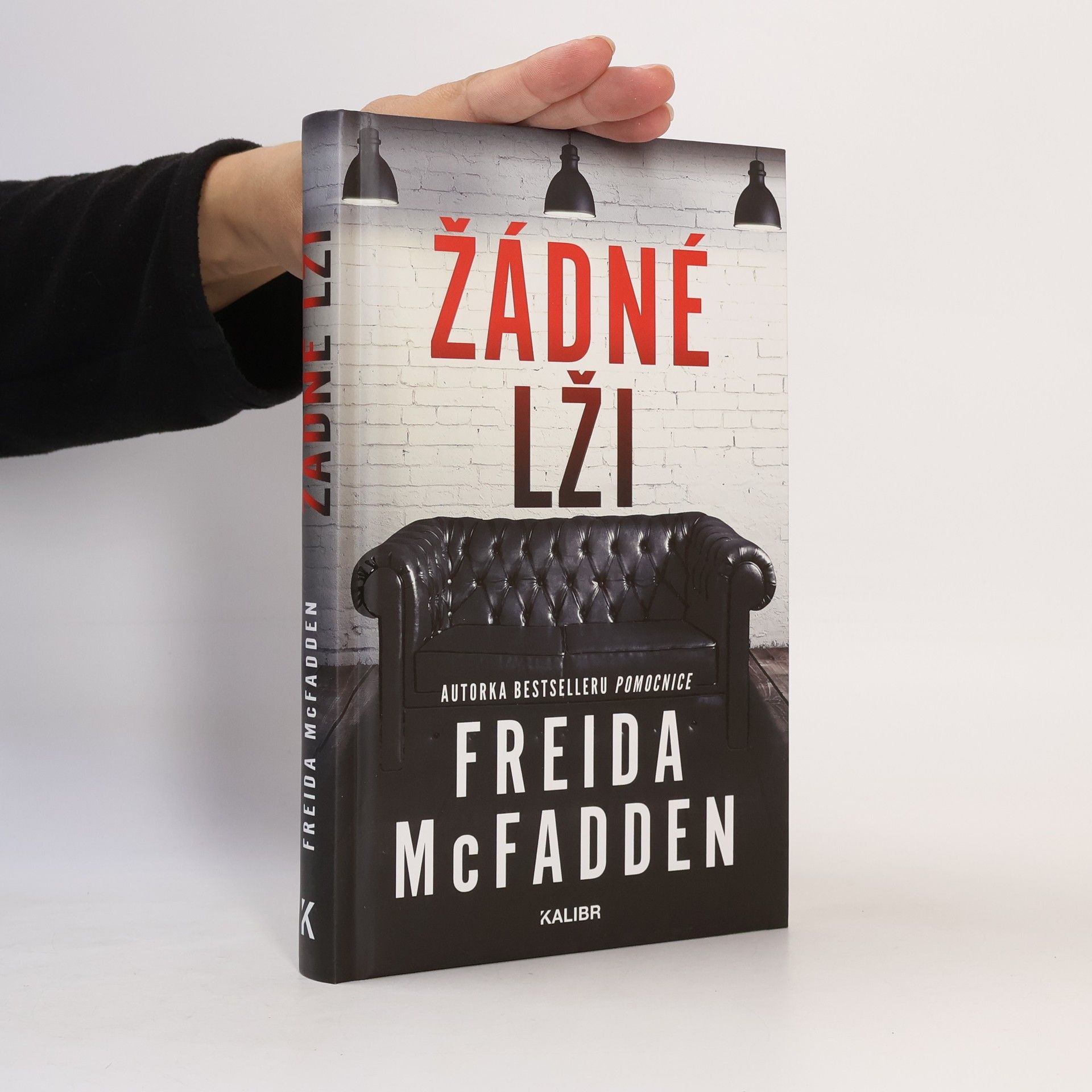 Freida McFadden Žádné lži