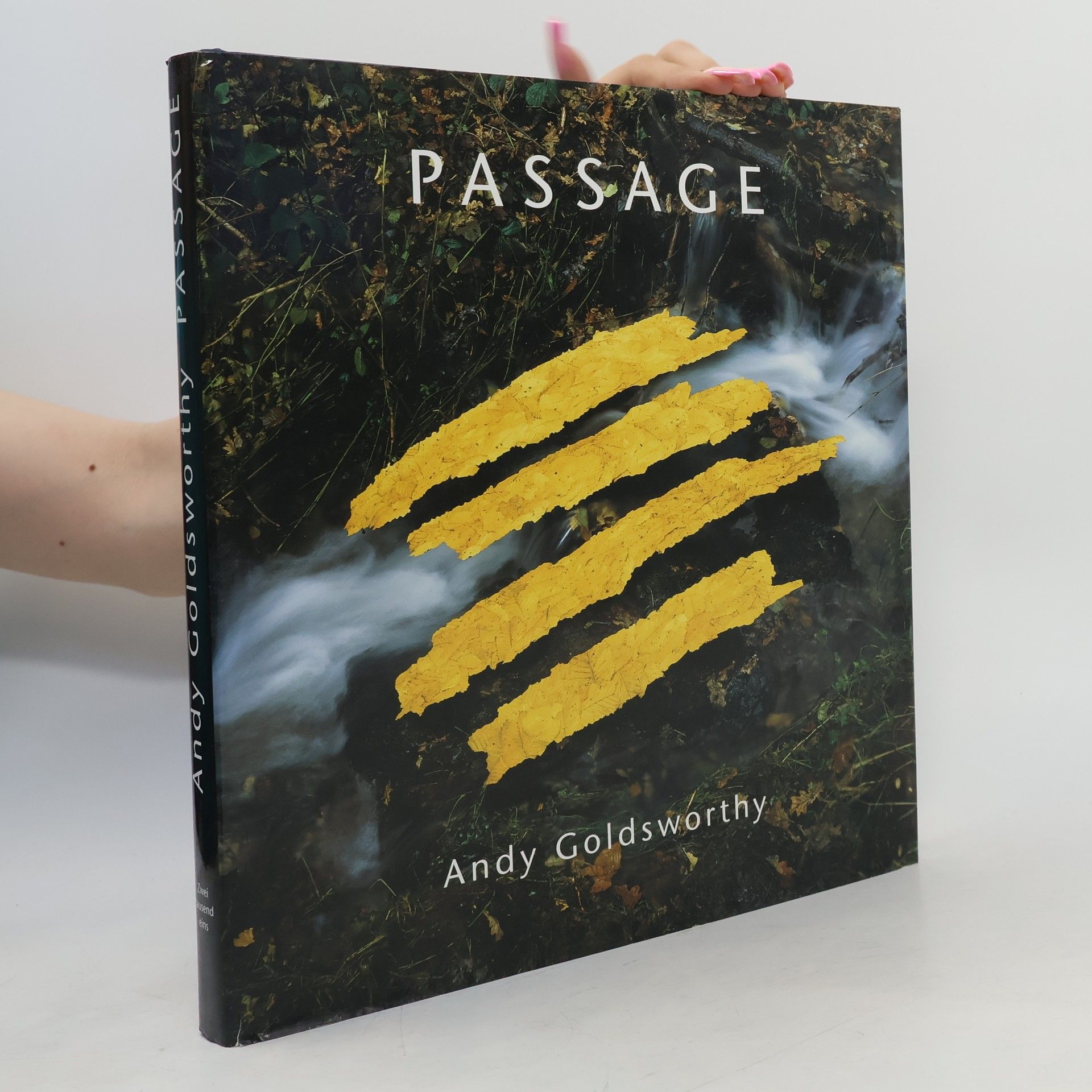 Andy Goldsworthy Passage