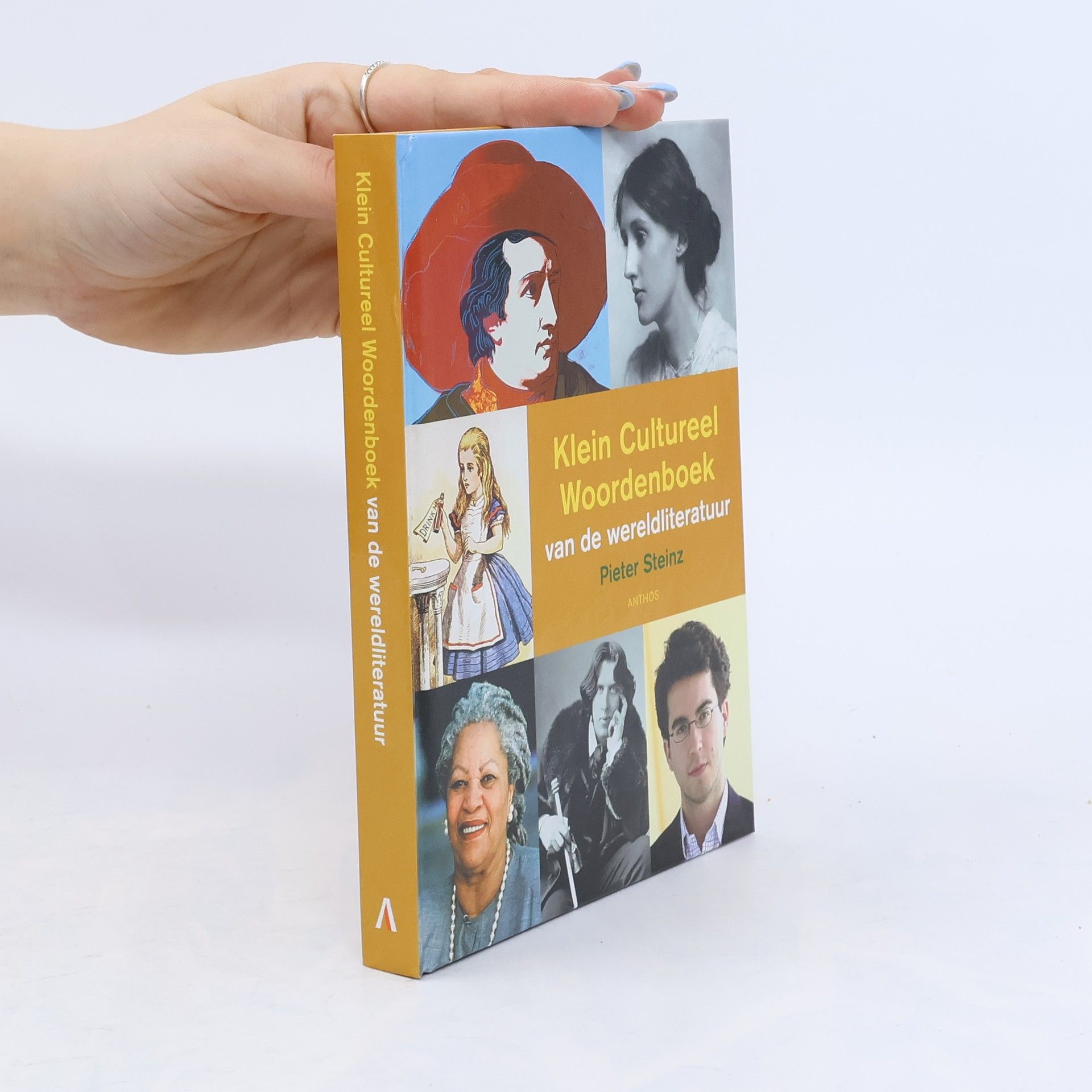 Pieter Steinz Klein cultureel woordenboek van de wereldliteratuur