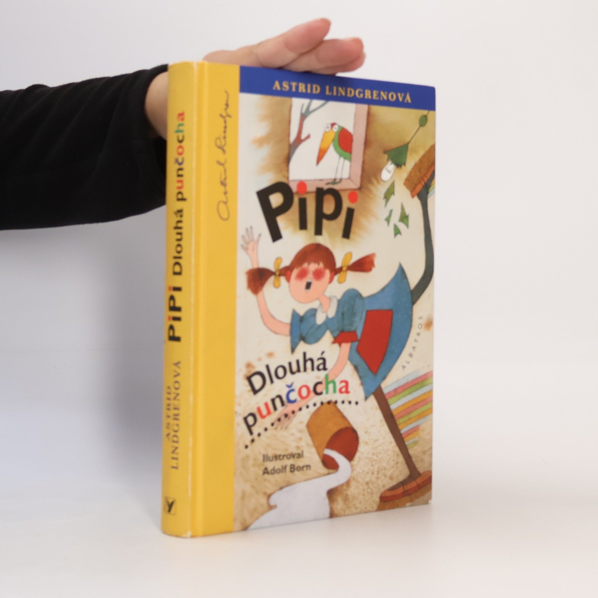 Astrid Lindgren Pipi Dlouhá punčocha