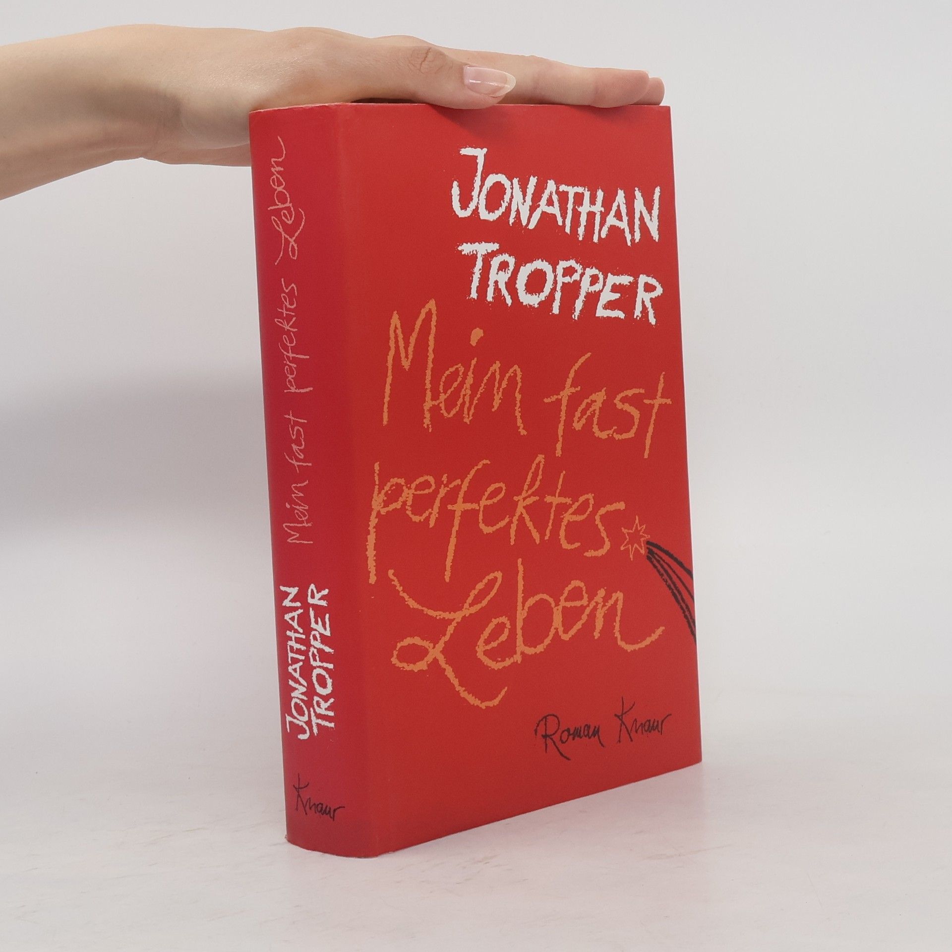 Jonathan Tropper Mein fast perfektes Leben