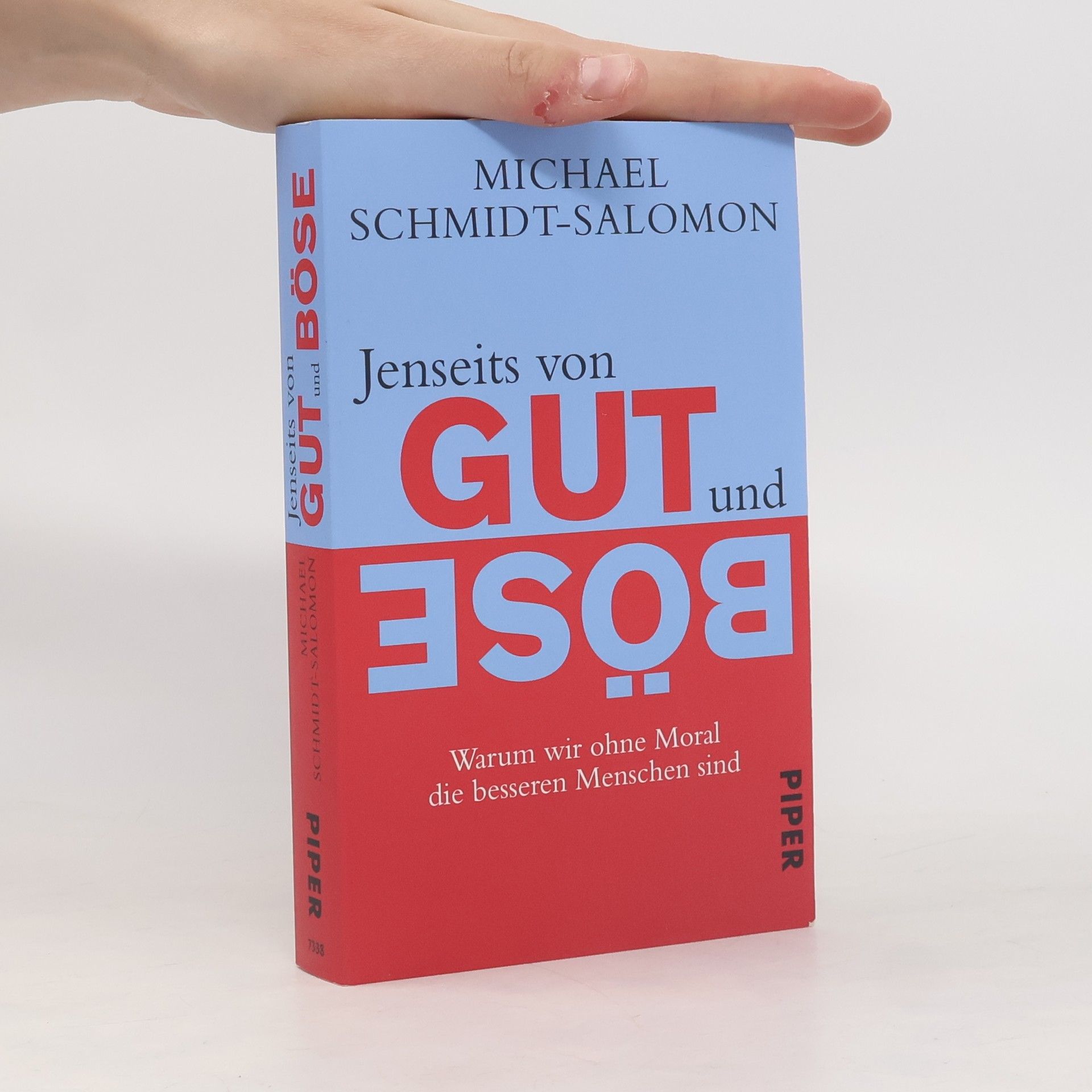 Ralph-Michael Schmidt Jenseits von Gut und Böse