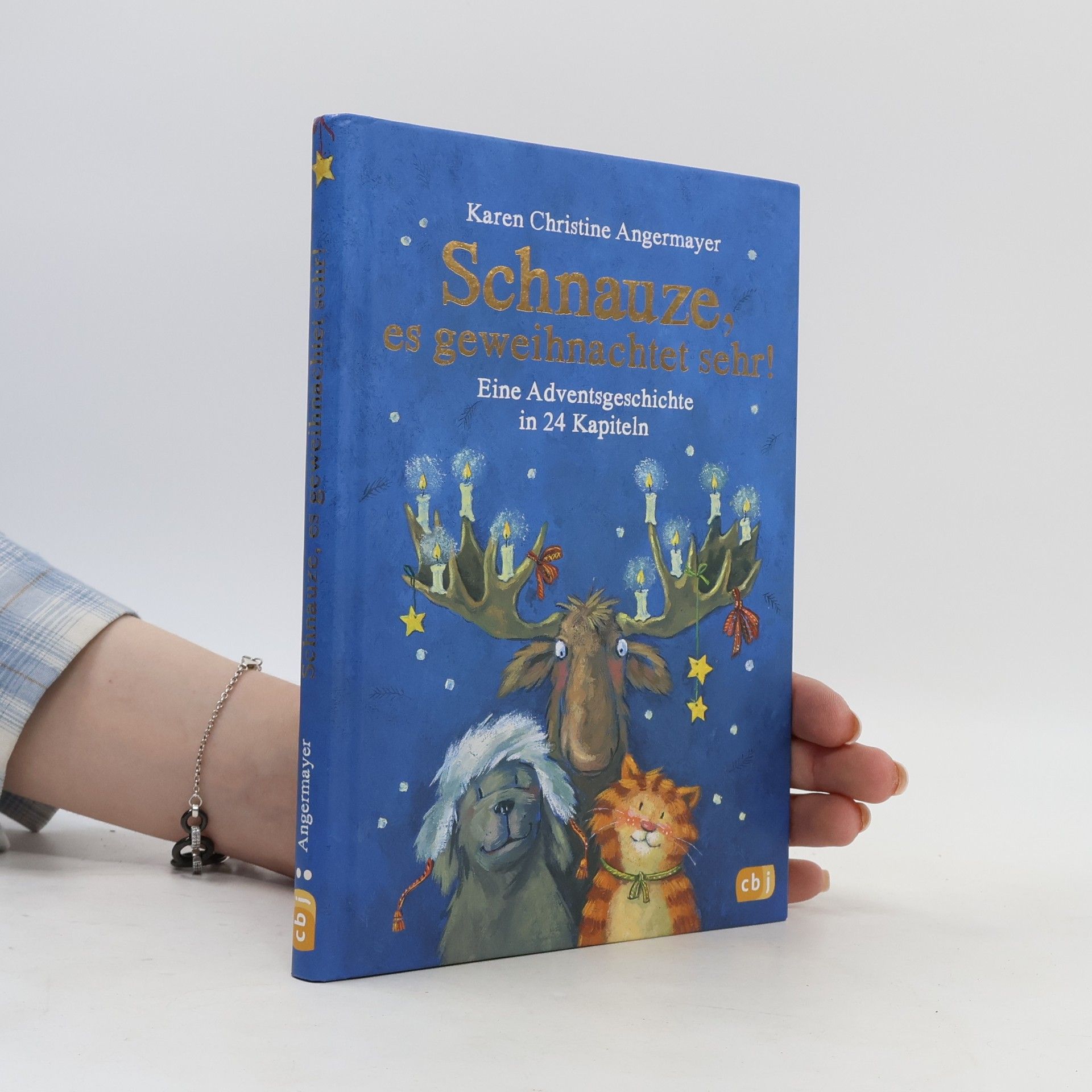 Schnauze, es geweihnachtet sehr!