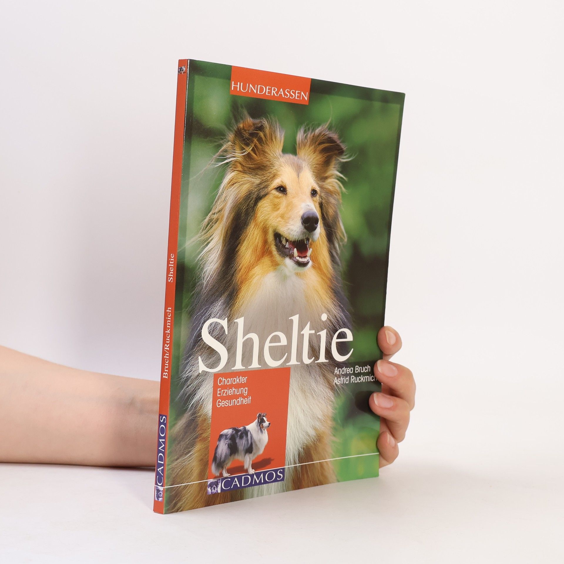 Astrid Ruckmich Hunderassen: Sheltie