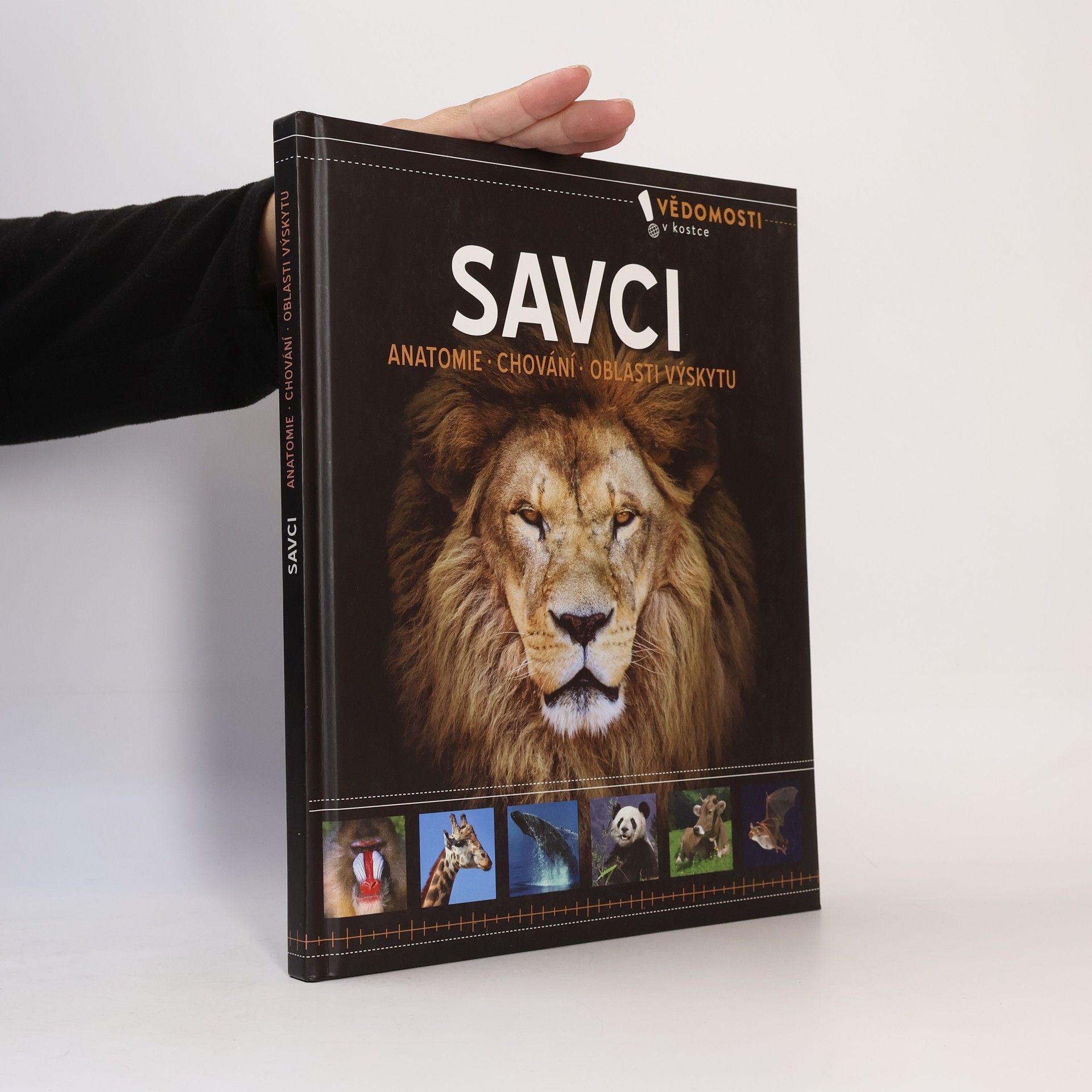 Autorenkollektiv Savci. Anatomie, chování, oblasti výskytu
