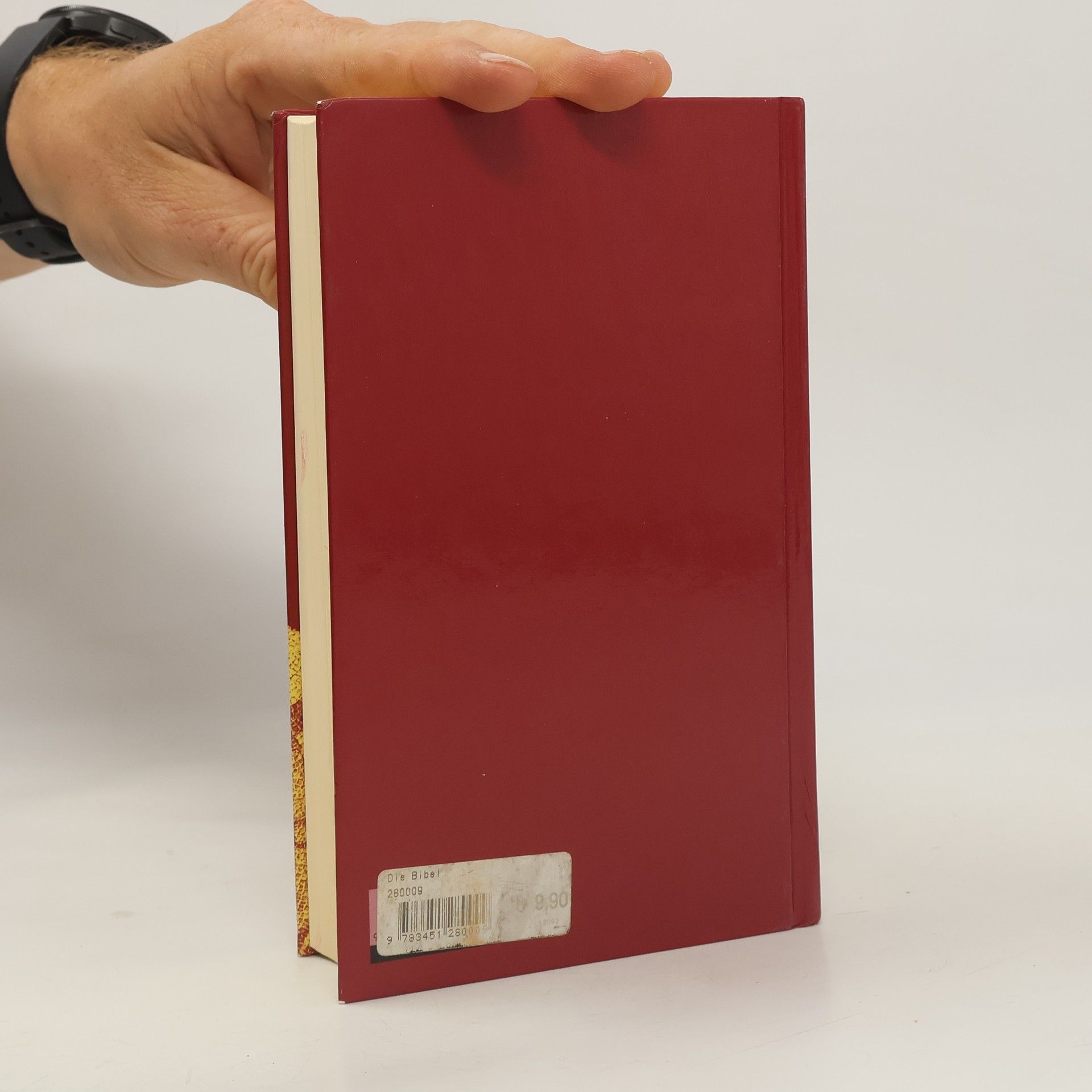 Kolektiv autorů Die Bibel