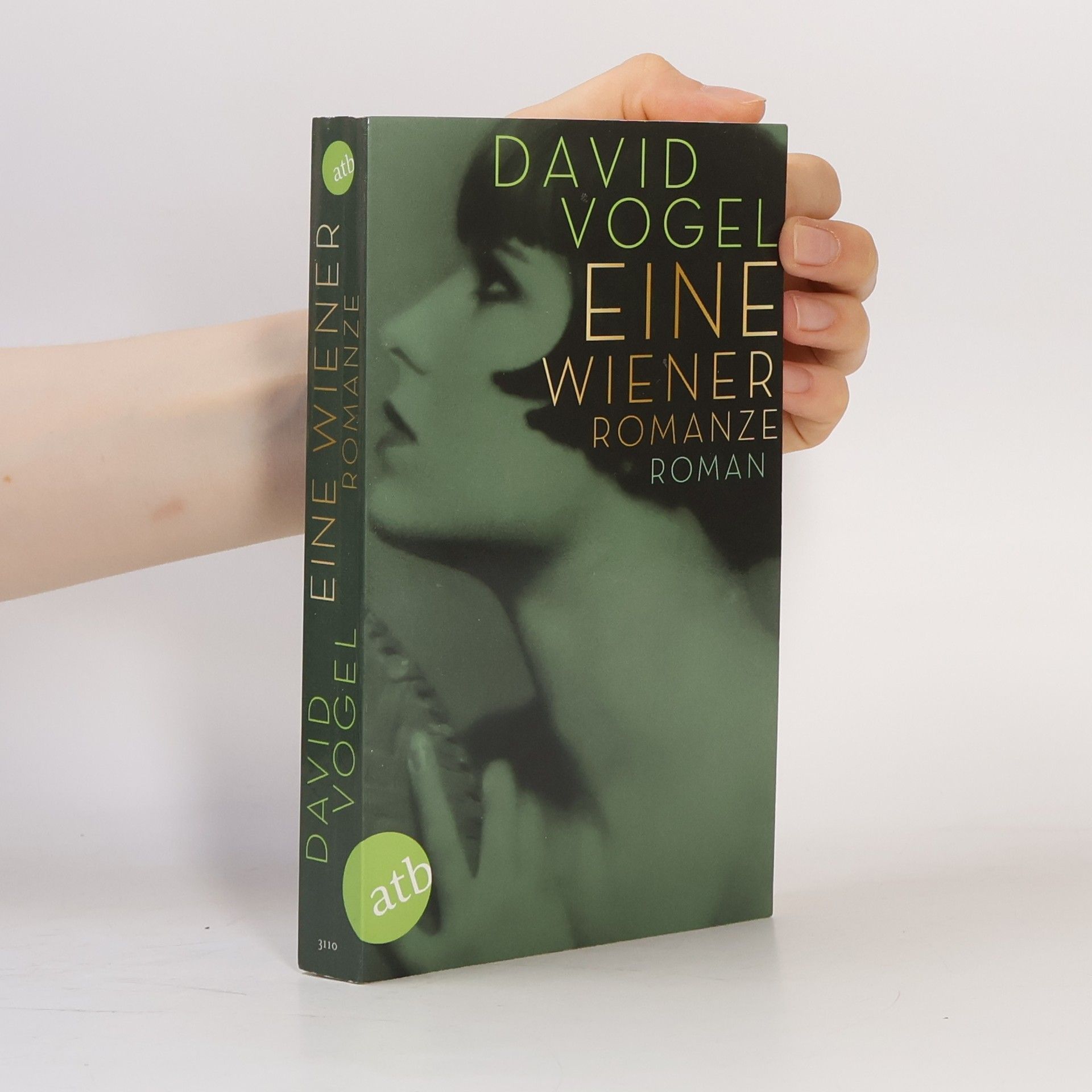 David Vogel Eine Wiener Romanze