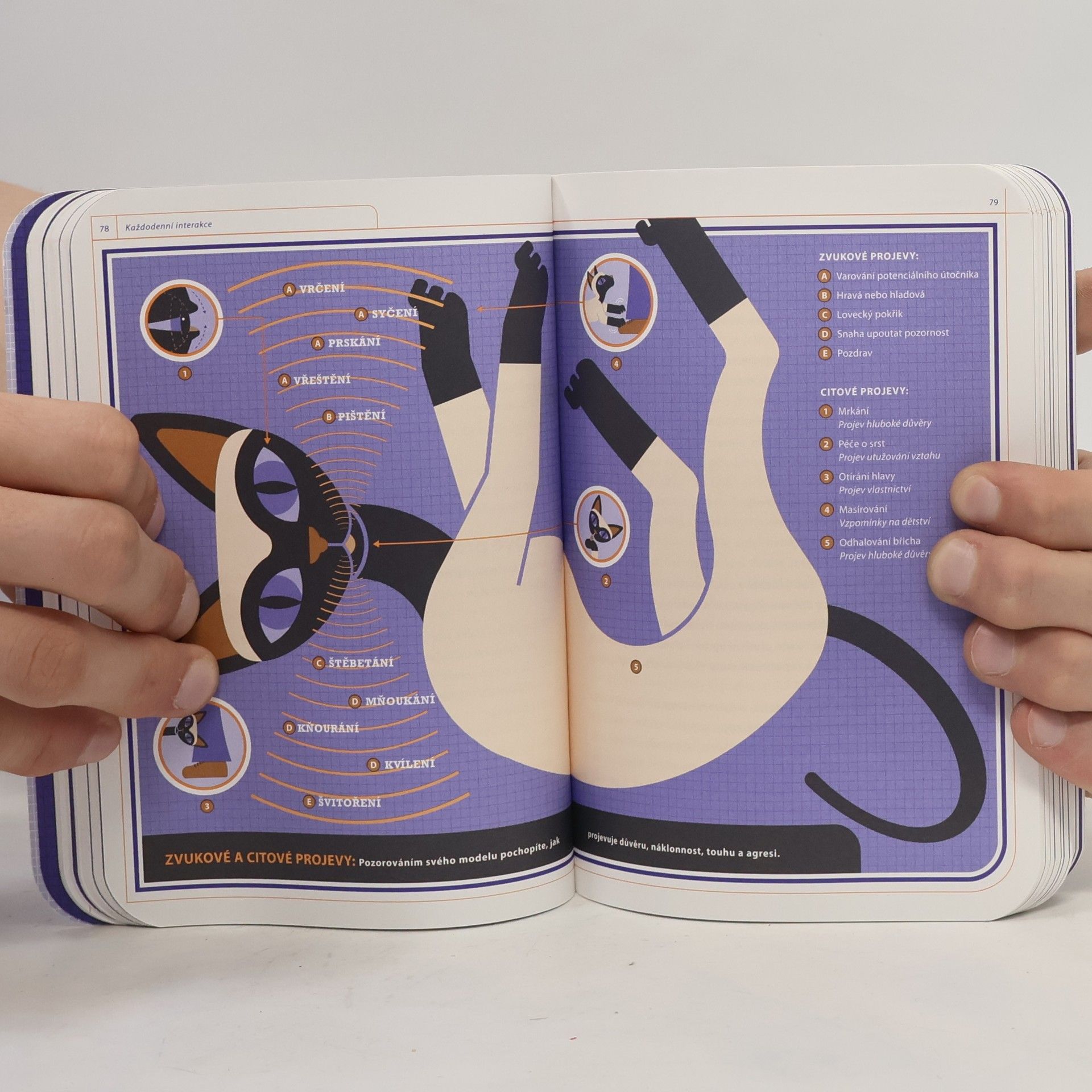 Autorenkollektiv Kočka: Návod k obsluze