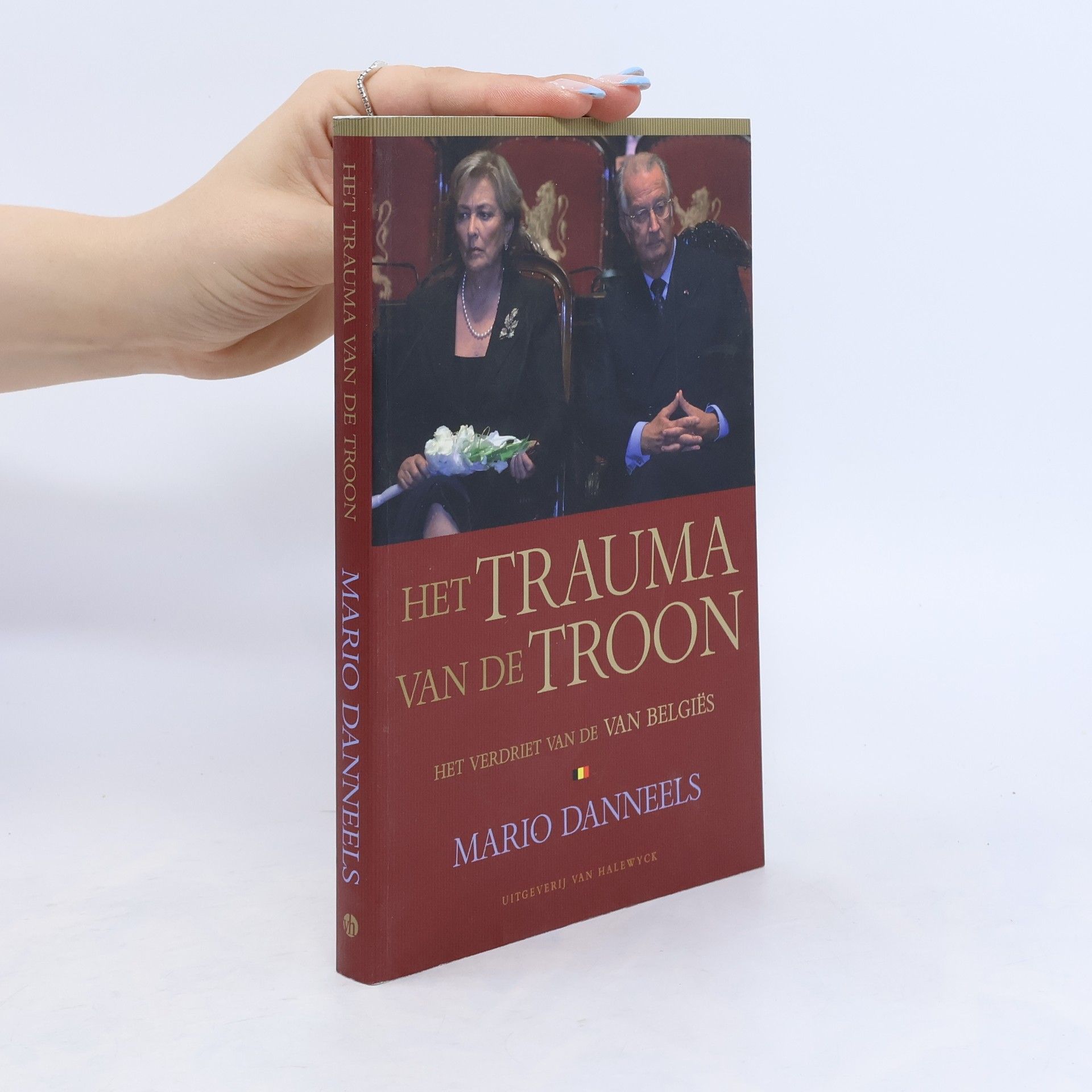 Mario Danneels Het trauma van de troon